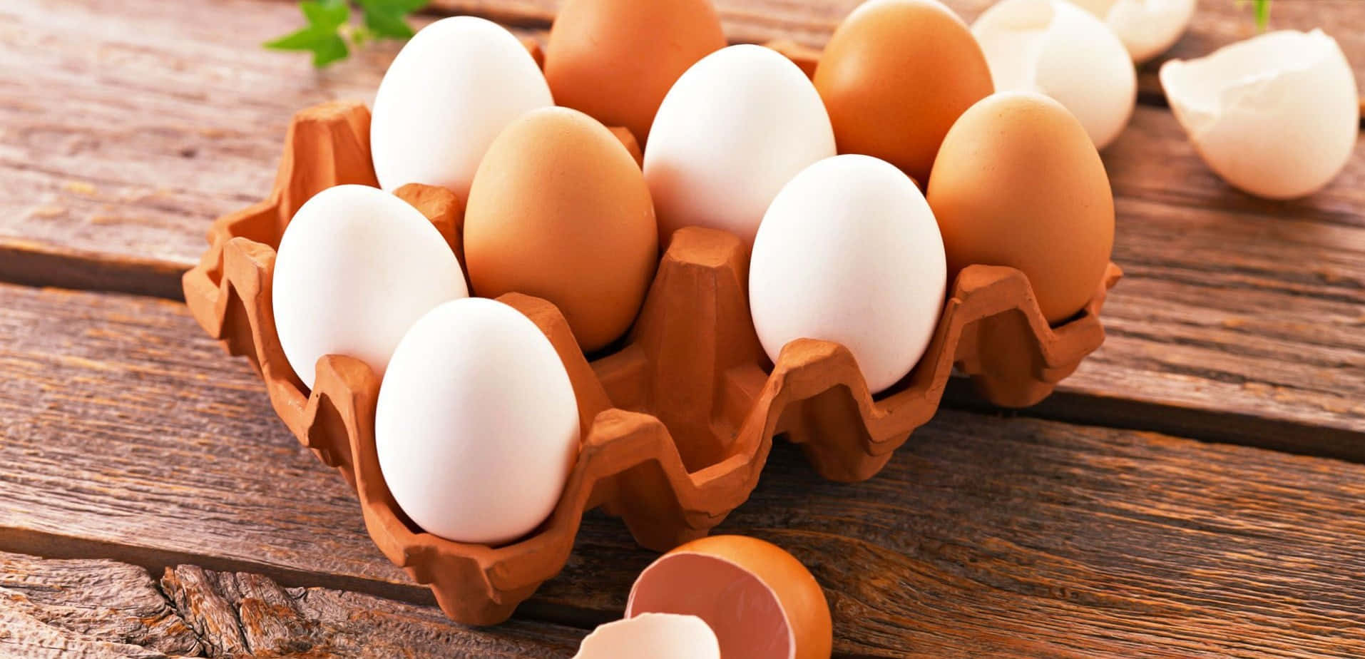 Egg 桌布 壁紙 — 新鮮的棕色和白色雞蛋放在紙板托盤中，置於鄉村風格的木桌上，周圍散落著蛋殼。