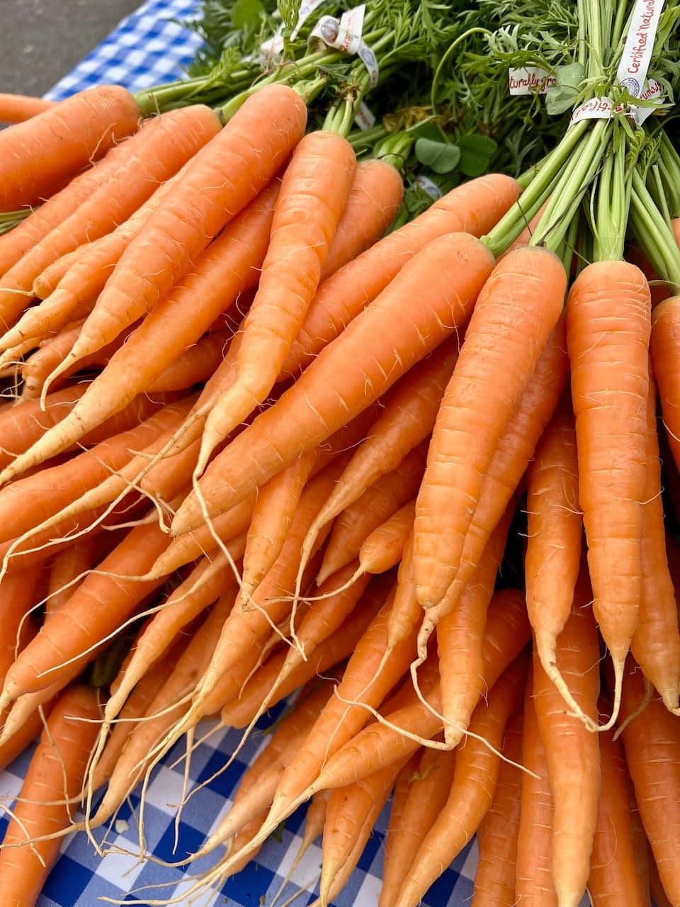Farmers Market 桌布 壁紙 — 新鮮的橙色胡蘿蔔帶有綠色頂部，堆放在藍白格子布上。