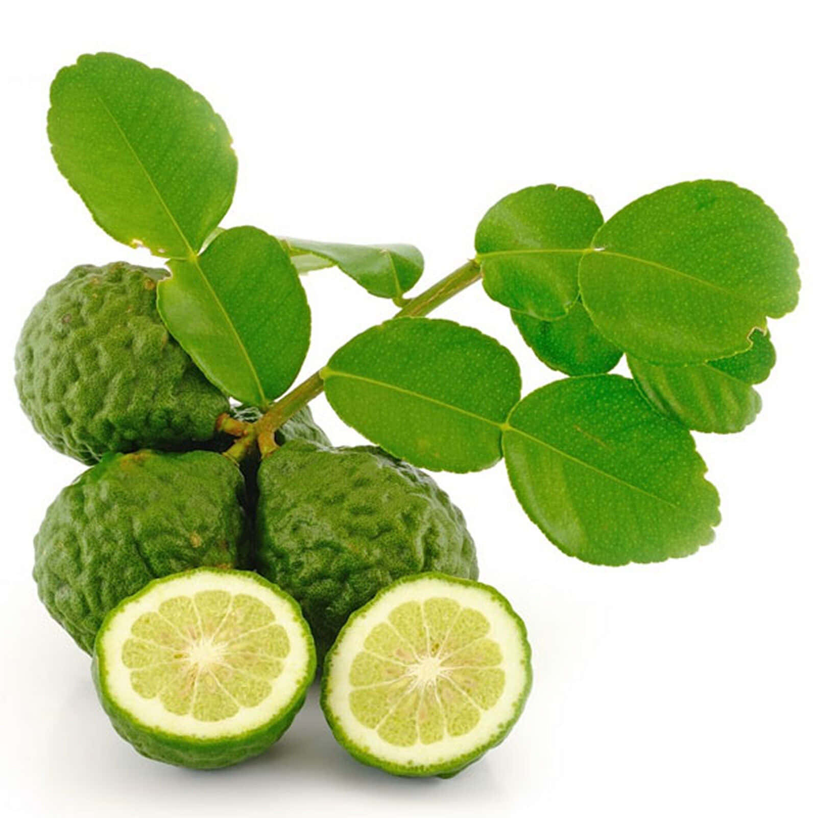 Fruit 桌布 壁紙 — 新鮮的泰國青檸，帶有鮮綠色葉子，兩個半邊露出多汁的瓣狀果肉，背景為潔白乾淨。