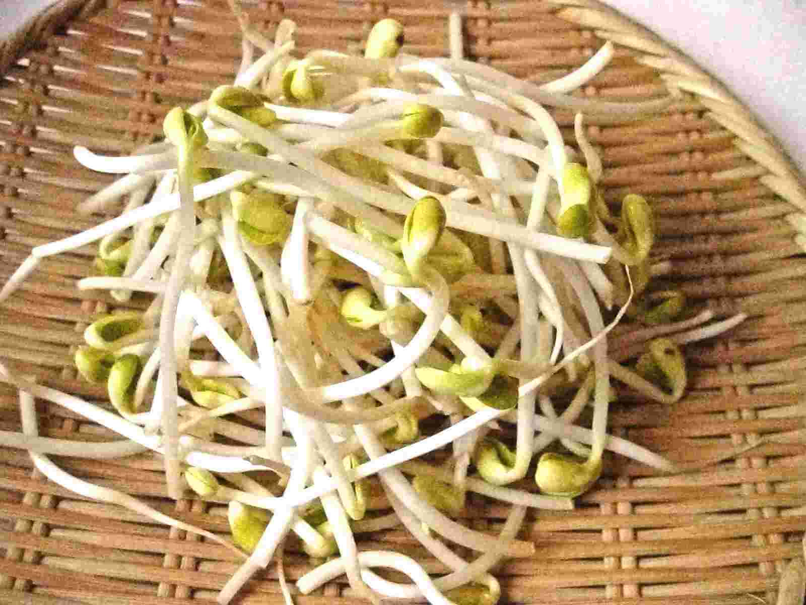 beans 桌布 壁紙 — 新鮮的白色和綠色豆芽堆放在編織竹蓆上。
