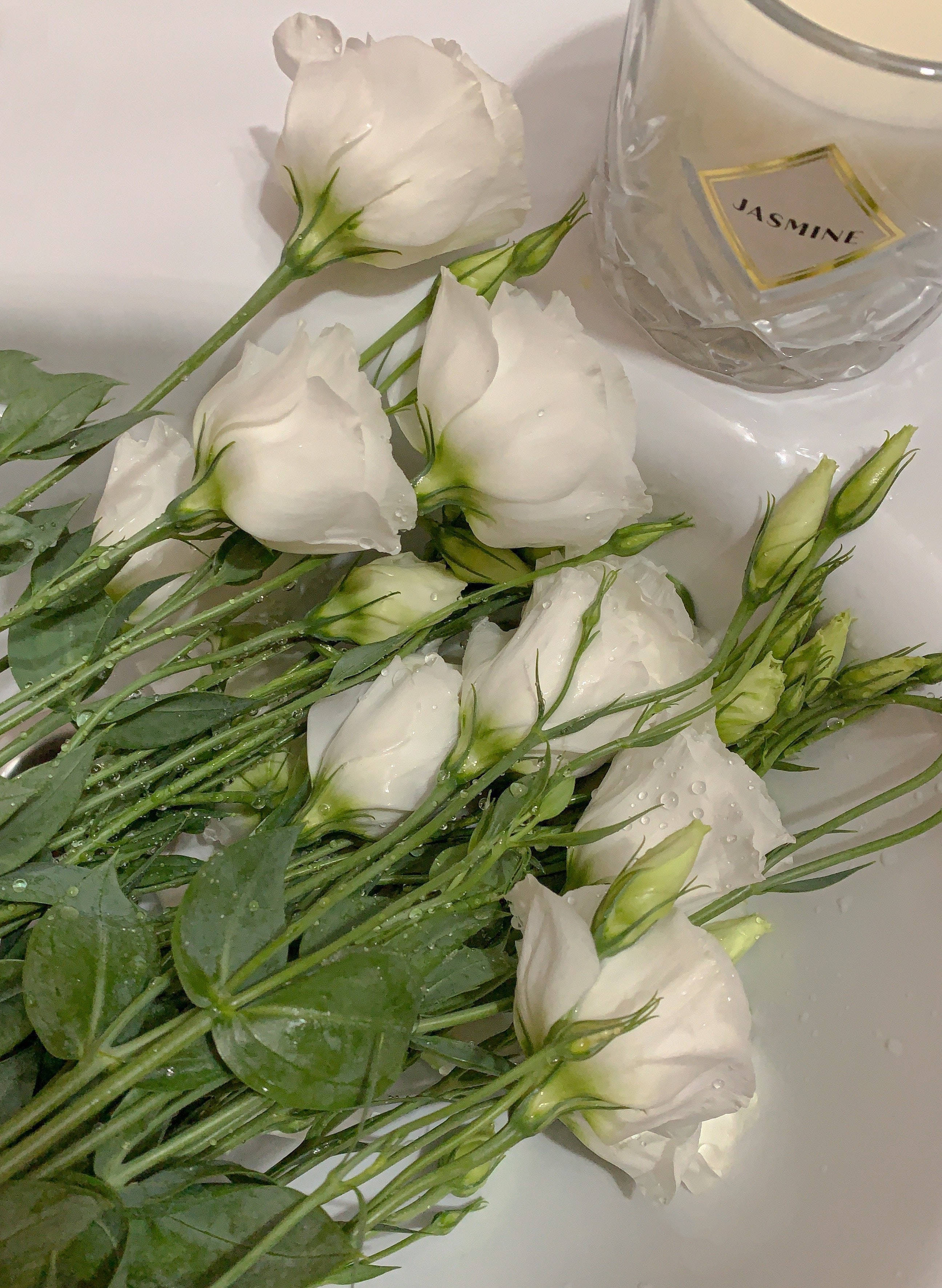 White Flowers 桌布 壁紙 — 新鮮的白色洋桔梗花帶有露珠，放在白色表面上的玻璃茉莉花蠟燭旁邊。