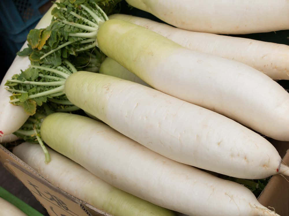 Vegetable 桌布 壁紙 — 新鮮的白蘿蔔，帶有綠色葉子，堆疊在市場攤位的紙箱中。