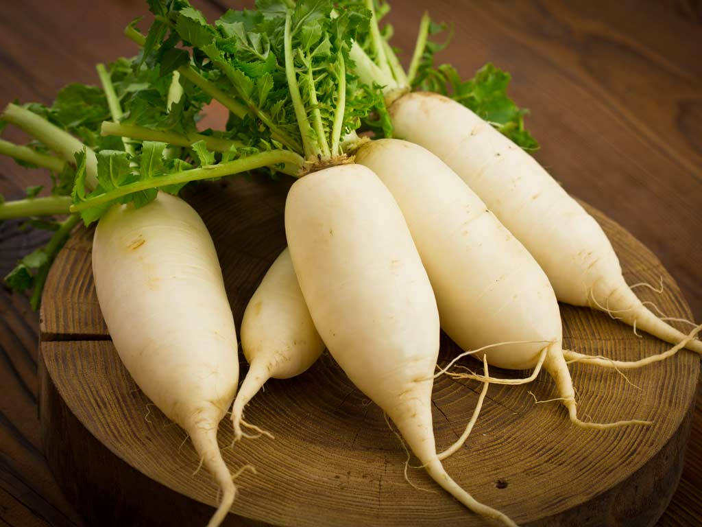 kitchen 桌布 壁紙 — 新鮮的白蘿蔔帶著綠色葉子，放在質樸的木砧板上。