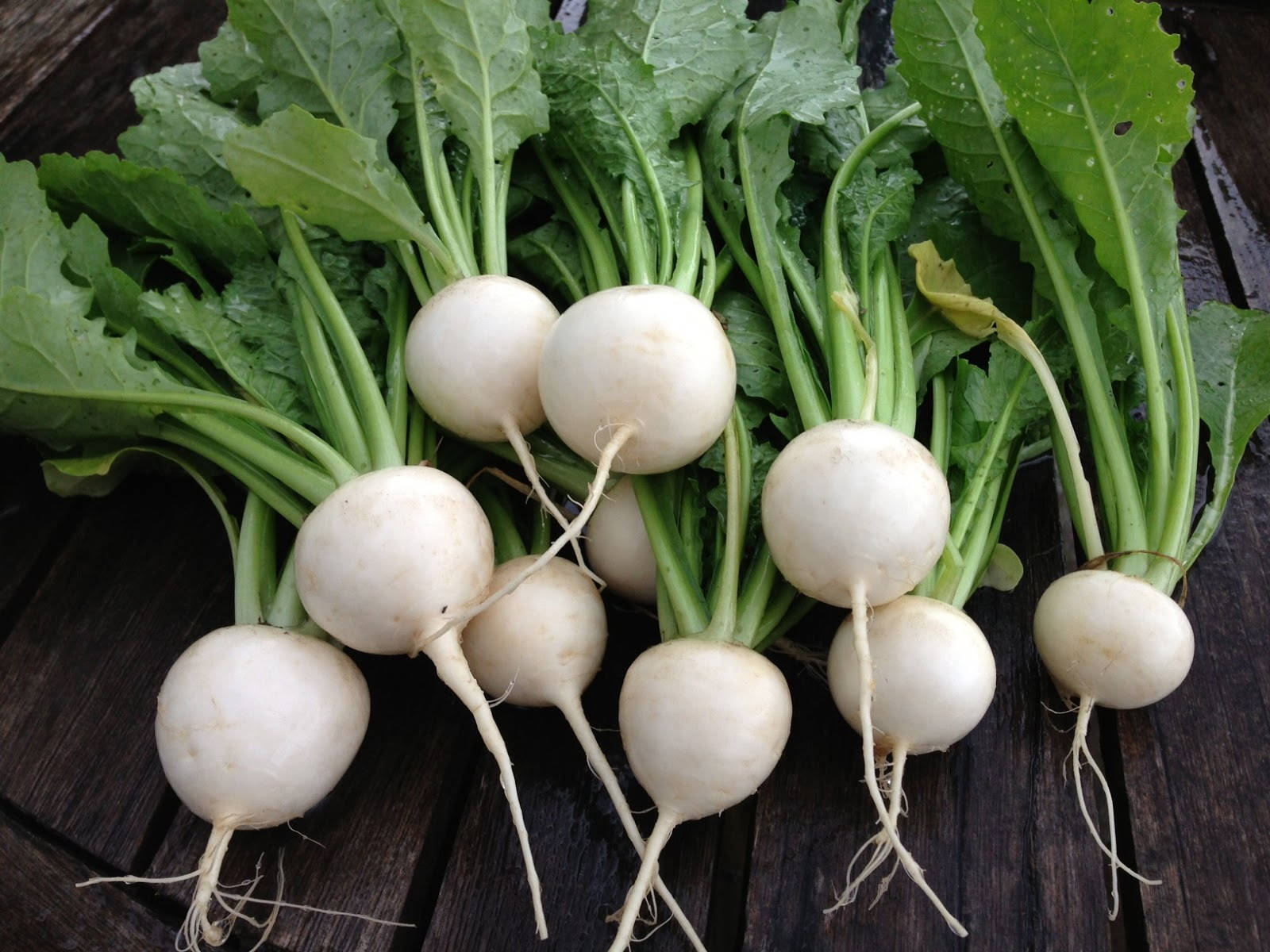 Healthy Food 桌布 壁紙 — 新鮮的白蘿蔔帶著鮮綠的葉子，放在深色木質表面上。
