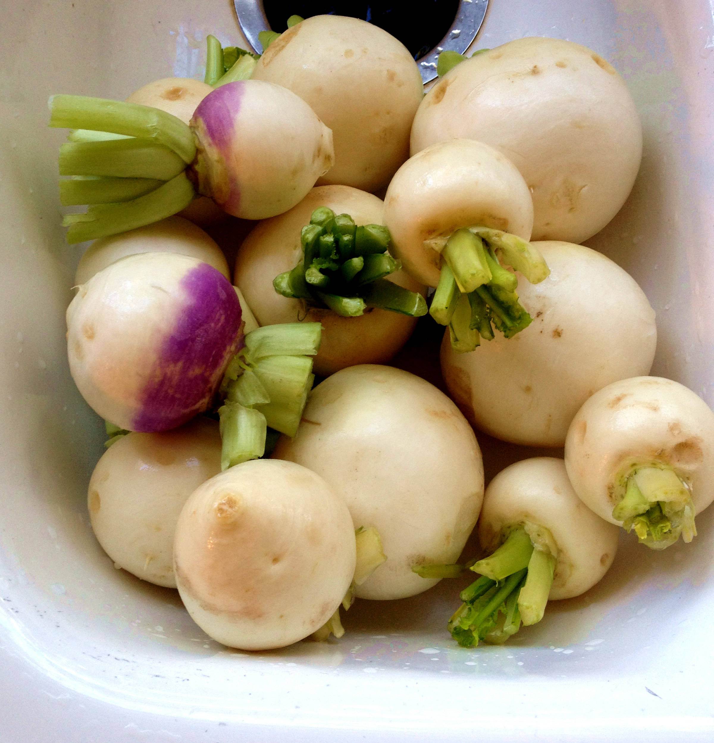 Healthy Food 桌布 壁紙 — 新鮮的白蘿蔔連同綠色莖和紫色頂部放在白色水槽中。