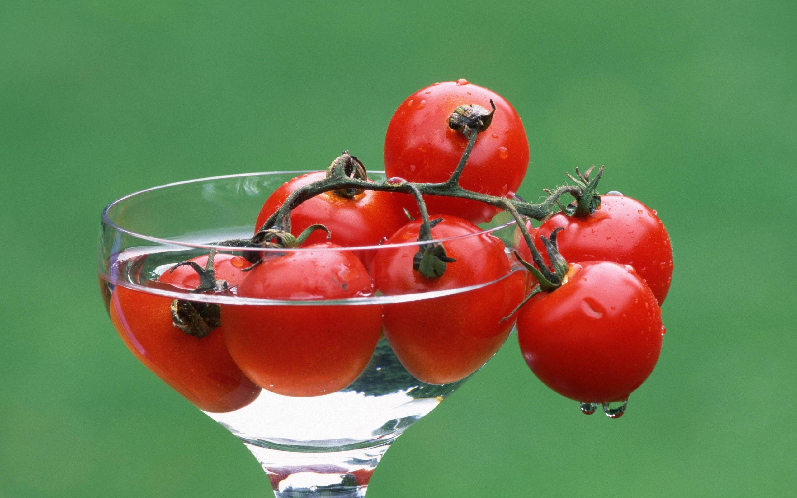 Fruits 桌布 壁紙 — 新鮮的紅櫻桃番茄連藤，在透明馬丁尼酒杯中閃爍著水珠，襯托柔和的綠色背景。
