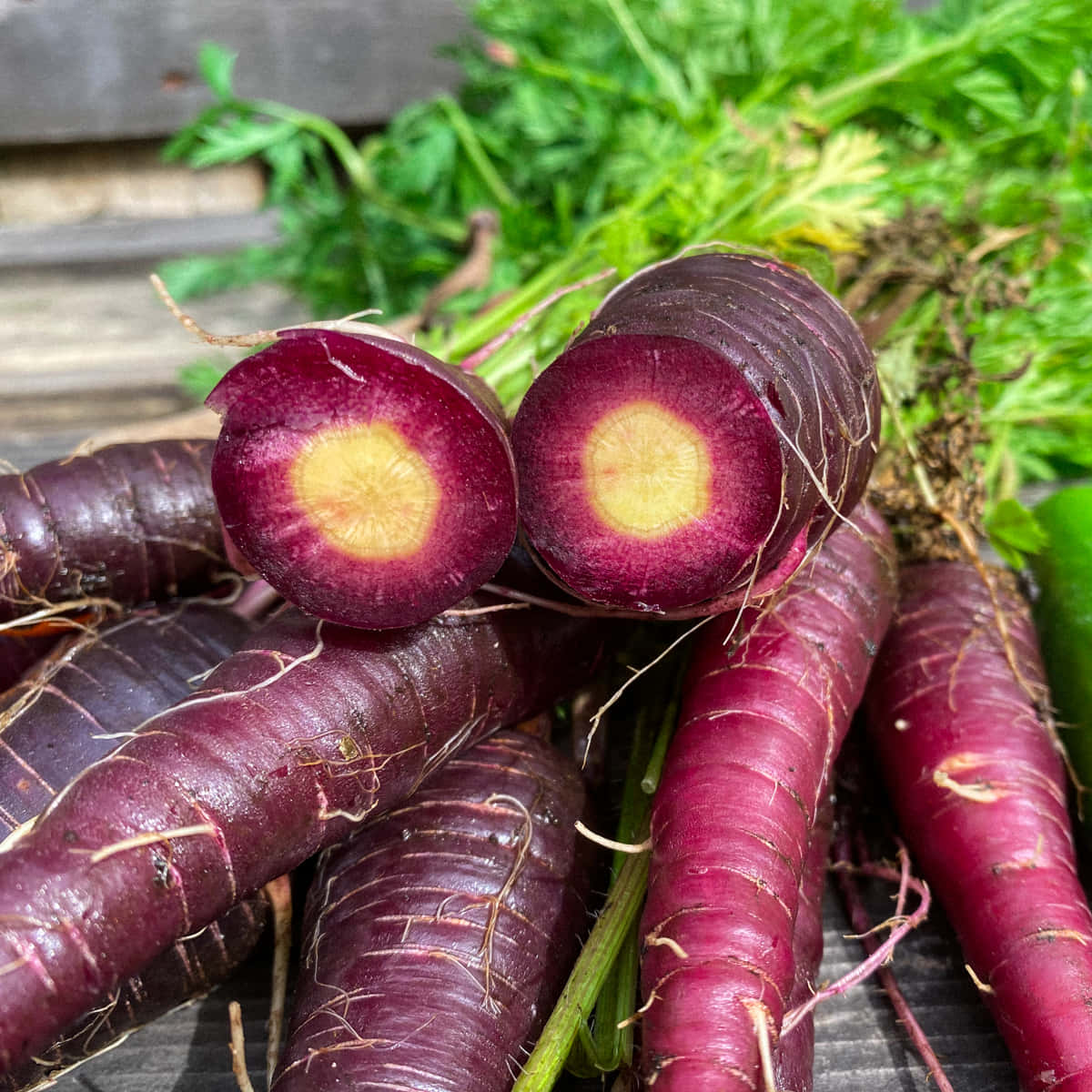 Purple Carrots 桌布 壁紙 — 新鮮的紫色胡蘿蔔帶有鮮豔的黃色中心，放在木質表面上，周圍環繞著綠色頂部。