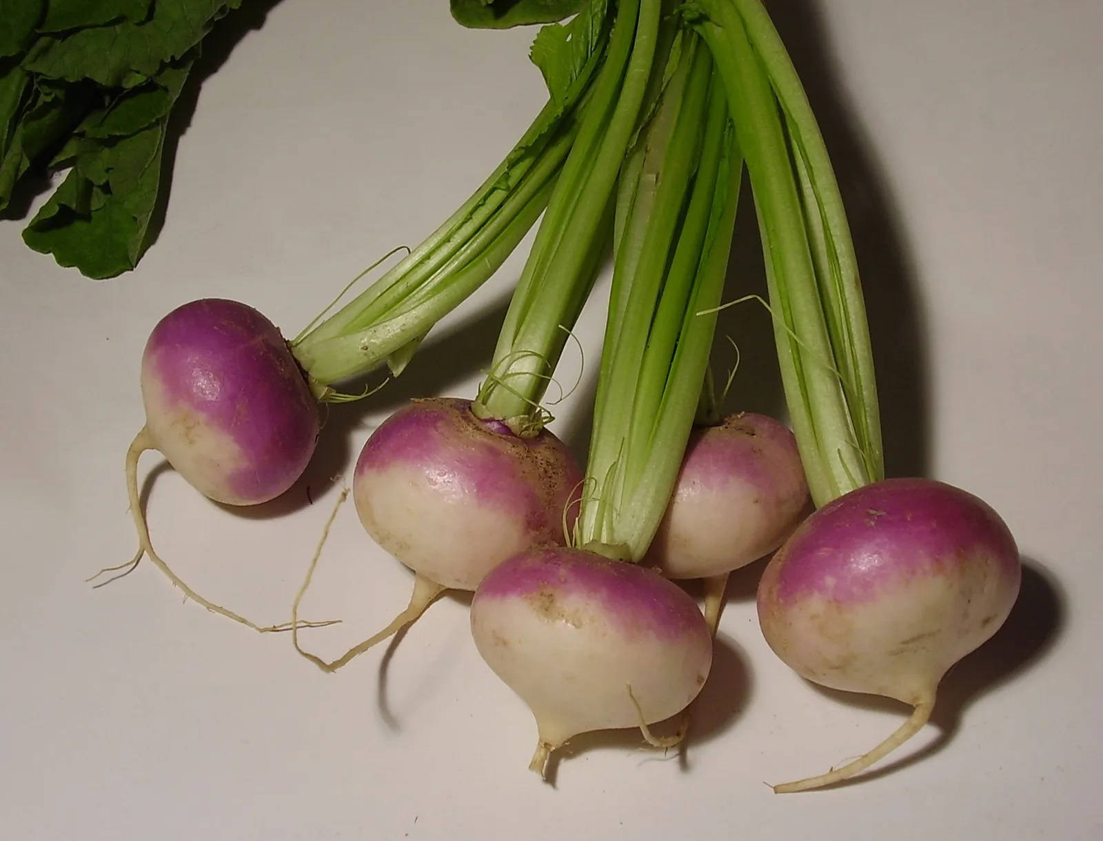 Healthy Food 桌布 壁紙 — 新鮮的紫色頂部蘿蔔，帶有綠色莖和根，排列在純白色表面上。