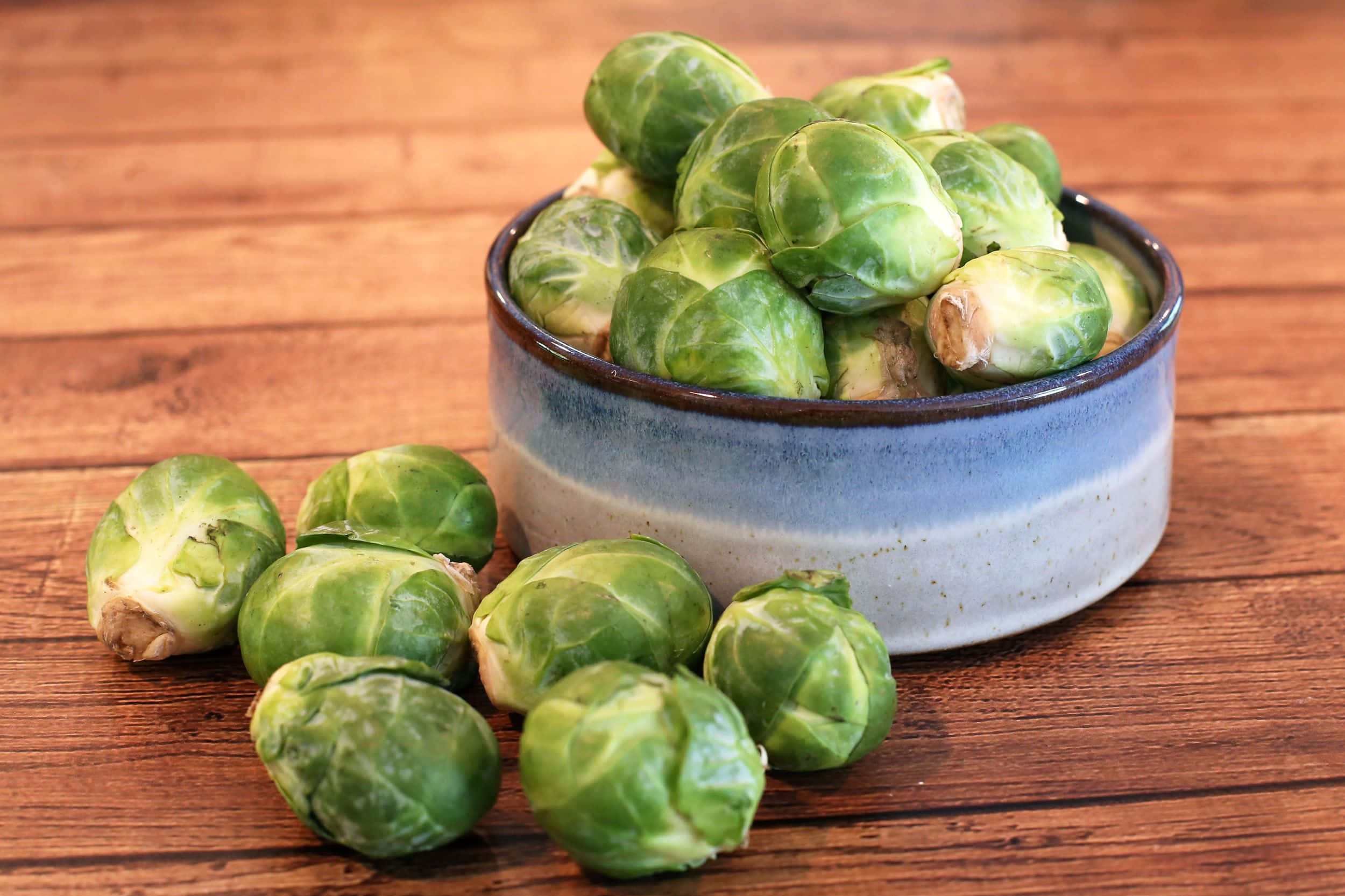 Brussel Sprout 桌布 壁紙 — 新鮮的綠色抱子甘藍從一個質樸的藍色陶瓷碗中溢出，落在溫暖的木桌上。