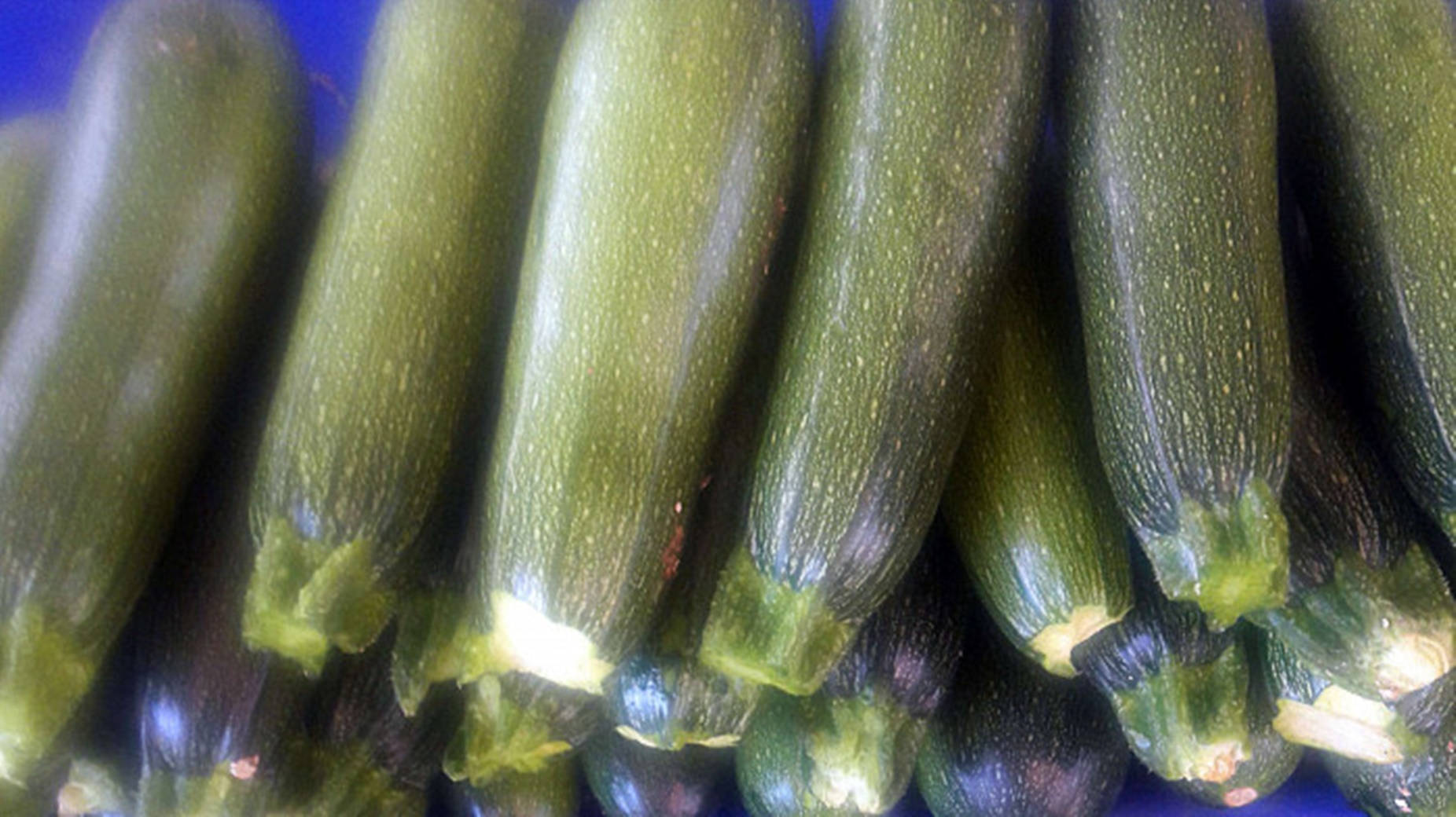 新鮮的綠色櫛瓜，帶有露水的表皮和淺綠色莖，以特寫行排列。 — 深綠色動畫 壁紙