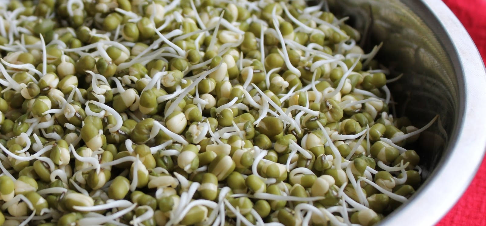 beans 桌布 壁紙 — 新鮮的綠色綠豆芽帶有白色根部，裝滿金屬濾網，背景是紅色布料。