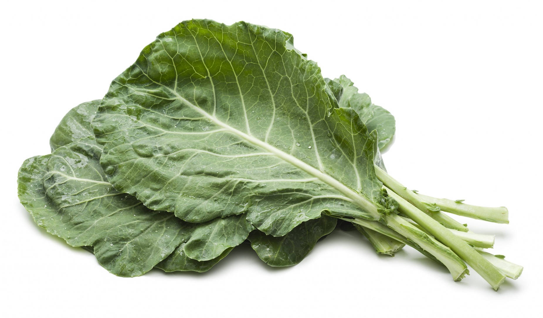 Collard Greens 桌布 壁紙 — 新鮮的綠色羽衣甘藍葉，帶有可見的葉脈和水珠，放在乾淨的白色背景上。