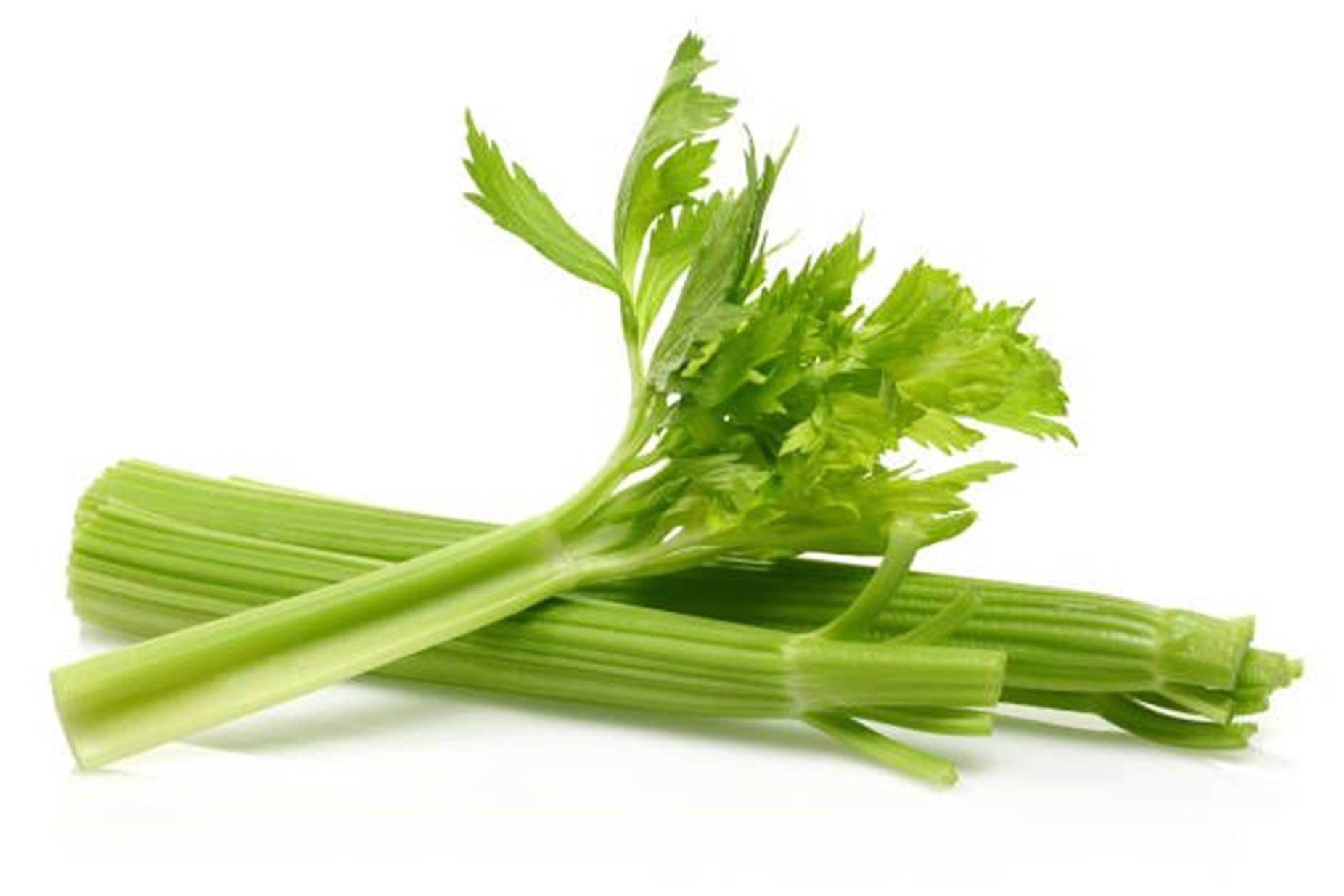 Green Leaves 桌布 壁紙 — 新鮮的綠色芹菜莖，帶有葉狀頂部，在乾淨的白色背景上對角排列。