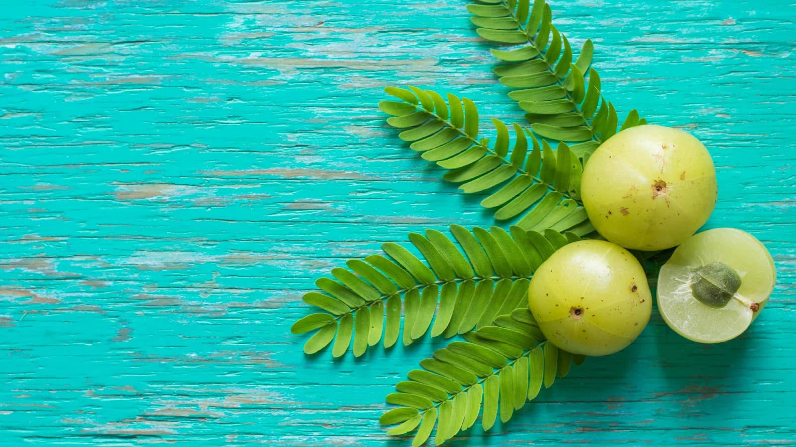 Fruits 桌布 壁紙 — 新鮮的綠色餘甘子果實和葉子放在風化的藍綠色木質表面上。