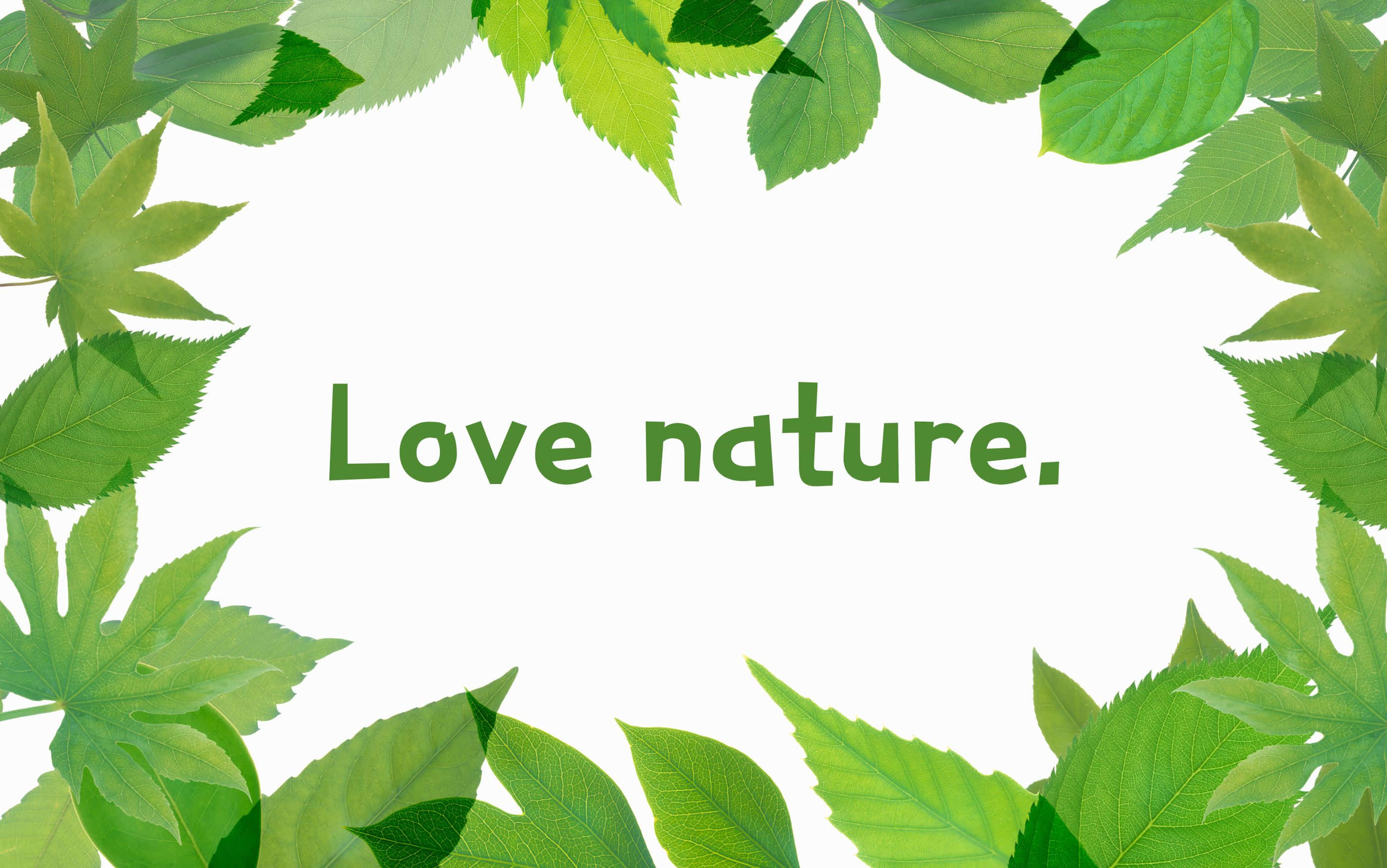 2800x1752 桌布 壁紙 — 新鮮的綠葉在潔白的背景上圍繞著「Love nature」文字形成自然邊框。