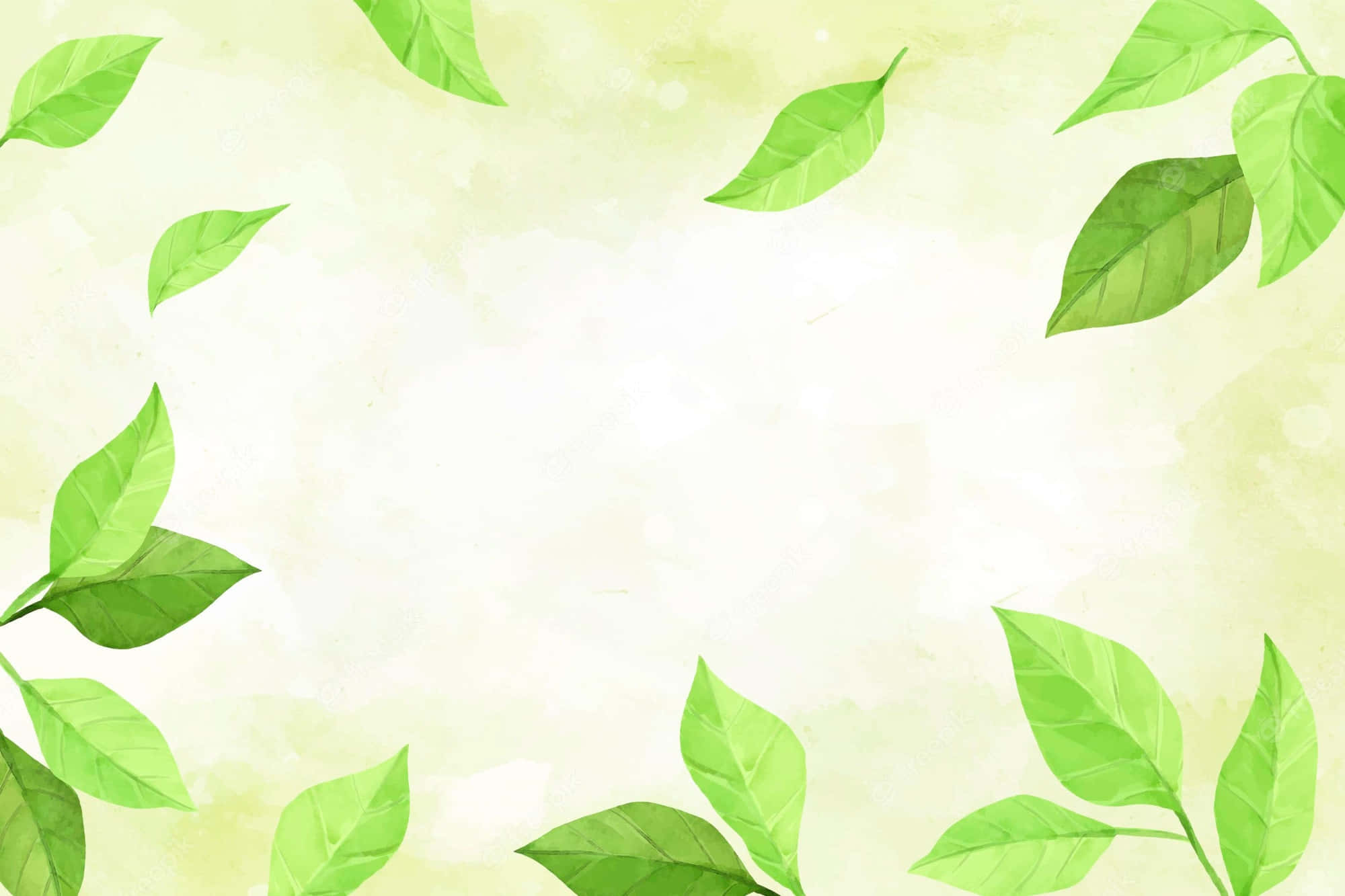 Nature Green 桌布 壁紙 — 新鮮的綠葉框住水彩風格中柔軟的紋理背景。