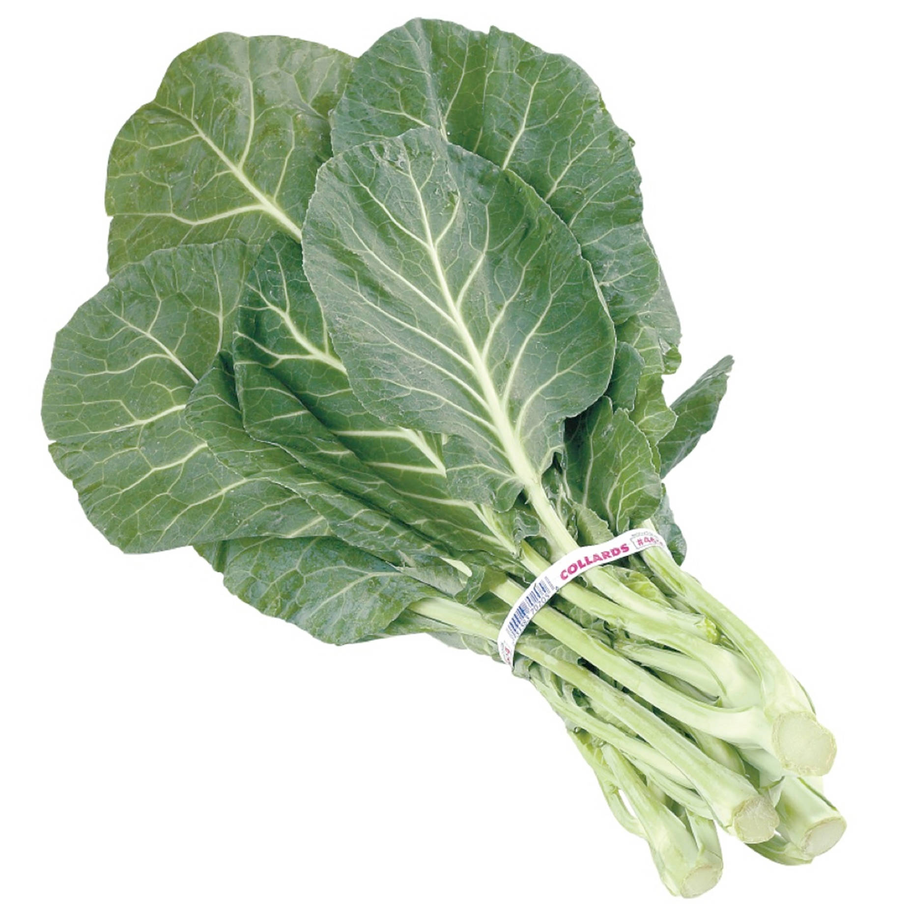 Vegetables 桌布 壁紙 — 新鮮的羽衣甘藍，帶有寬闊的深綠色葉片和淺色莖，用標籤綁在一起，背景為白色。