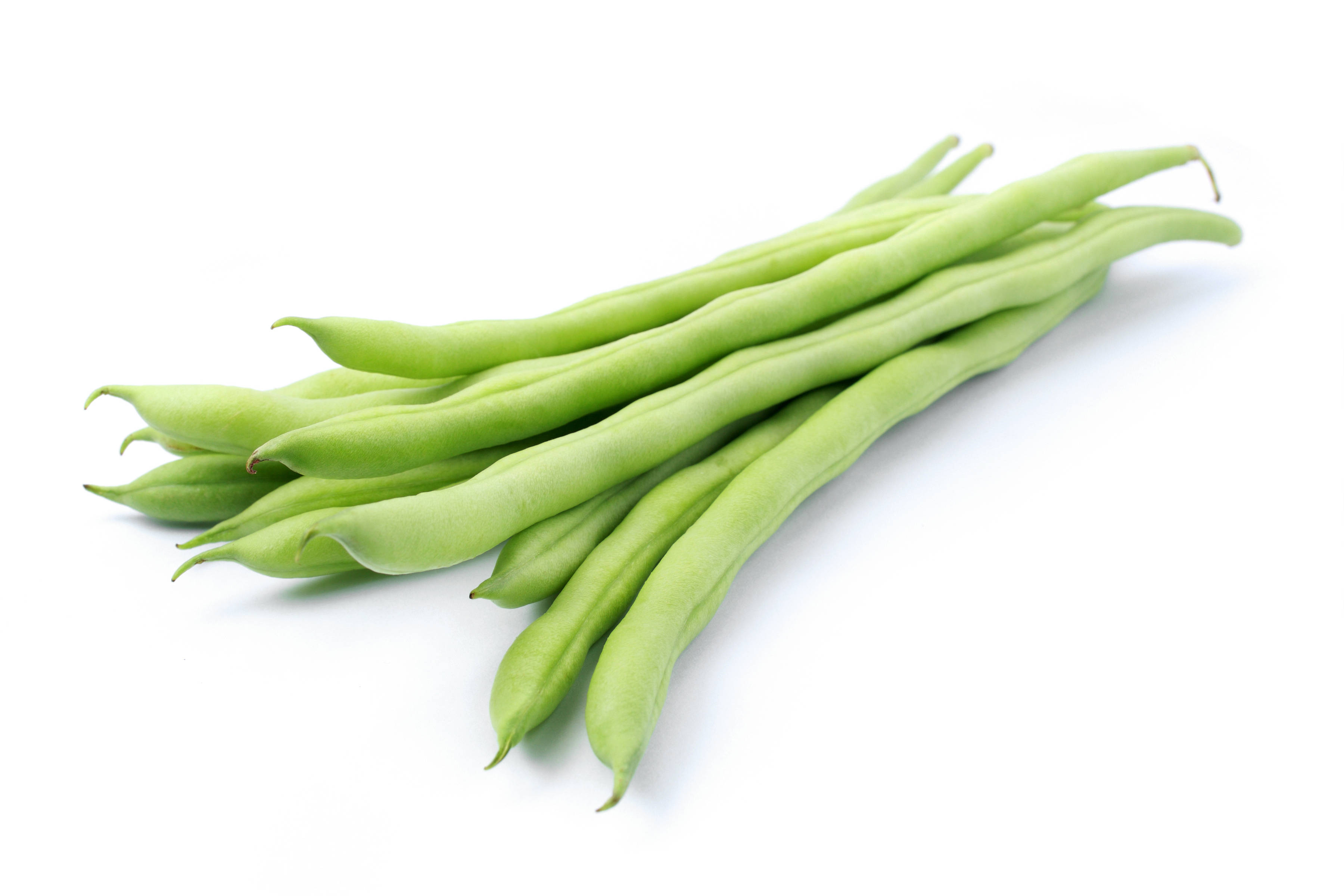 beans 桌布 壁紙 — 新鮮的翠綠四季豆束斜放在潔白背景上。