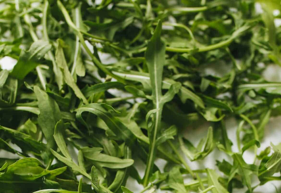 plants 桌布 壁紙 — 新鮮的芝麻菜葉，邊緣呈鋸齒狀，帶有鮮豔的綠色色調，以柔和焦點的一堆形式，放在明亮的白色背景上。