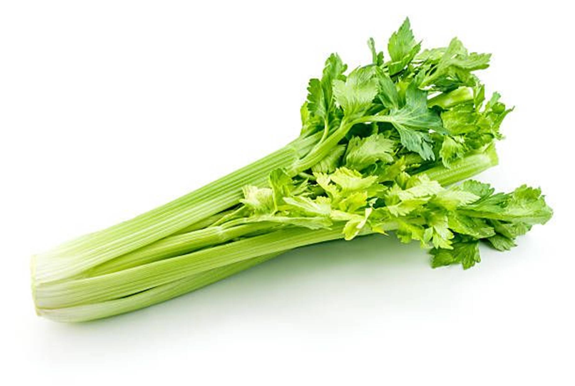 Green Leaves 桌布 壁紙 — 新鮮的芹菜莖，帶有充滿活力的綠色葉子，在潔白的背景上展開。