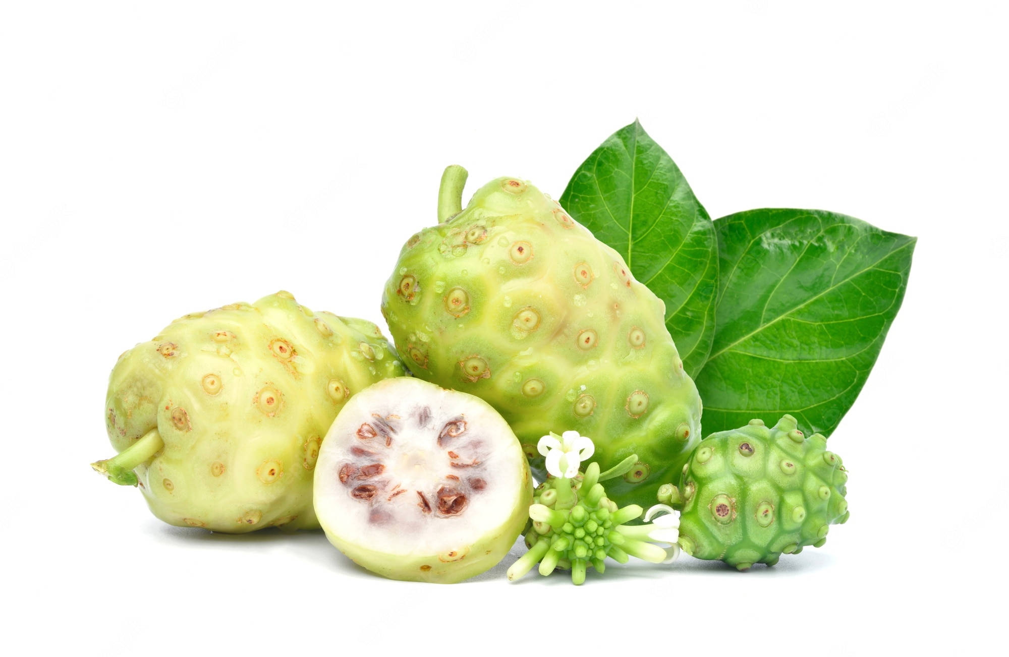 Fruits 桌布 壁紙 — 新鮮的諾麗果實，搭配綠色葉子和白色花朵，排列在潔淨的白色背景上。