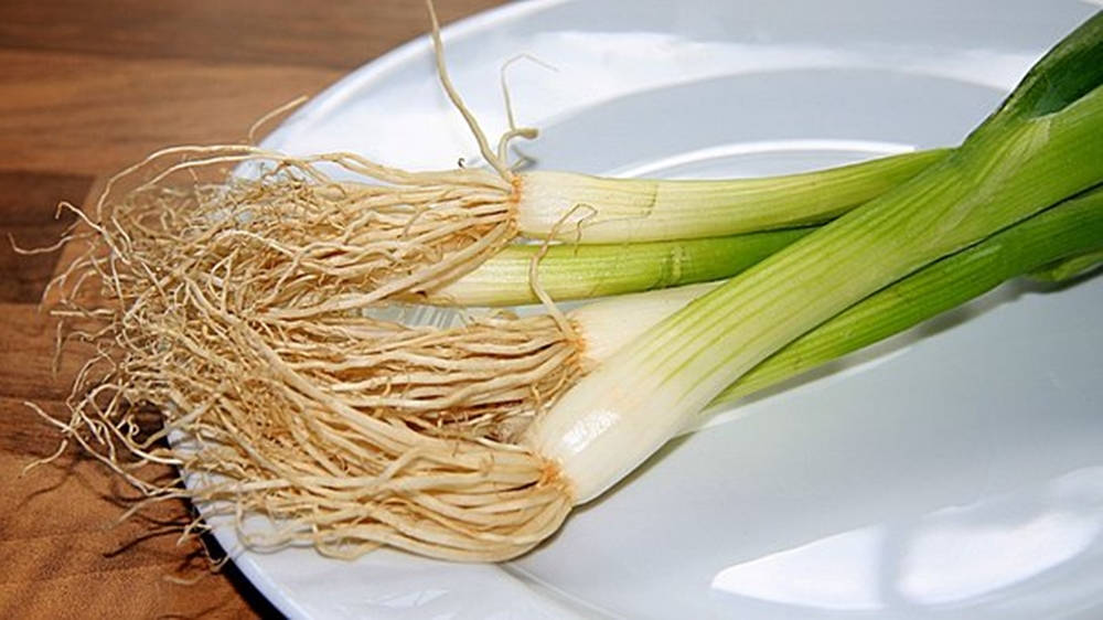 Onion 桌布 壁紙 — 新鮮的青蔥，根部纏繞，放在木質表面上的白色盤子上。