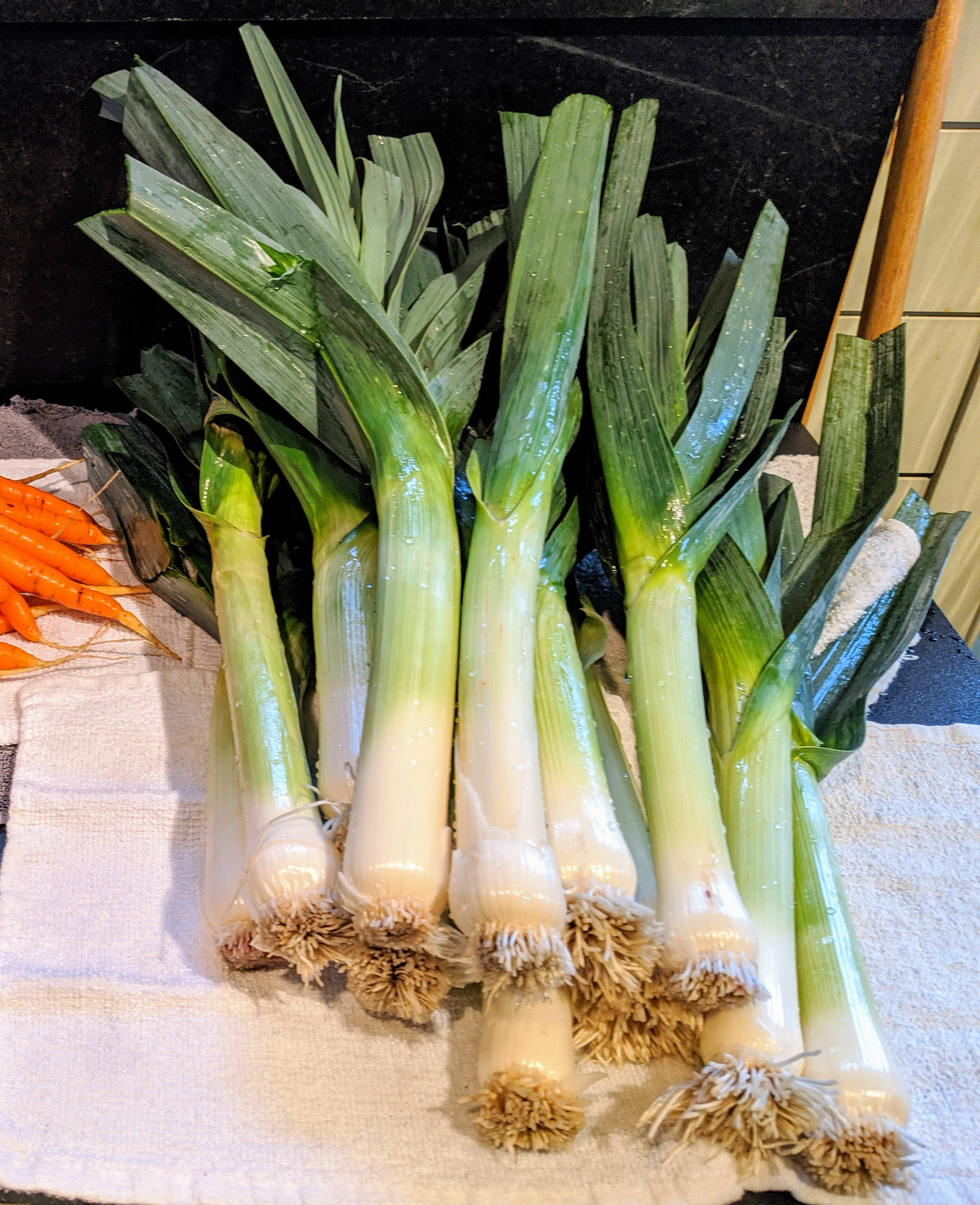 Plant 桌布 壁紙 — 新鮮的韭菜，綠色莖和白色鱗莖，放在白色毛巾上，旁邊有胡蘿蔔，在廚房檯面上。