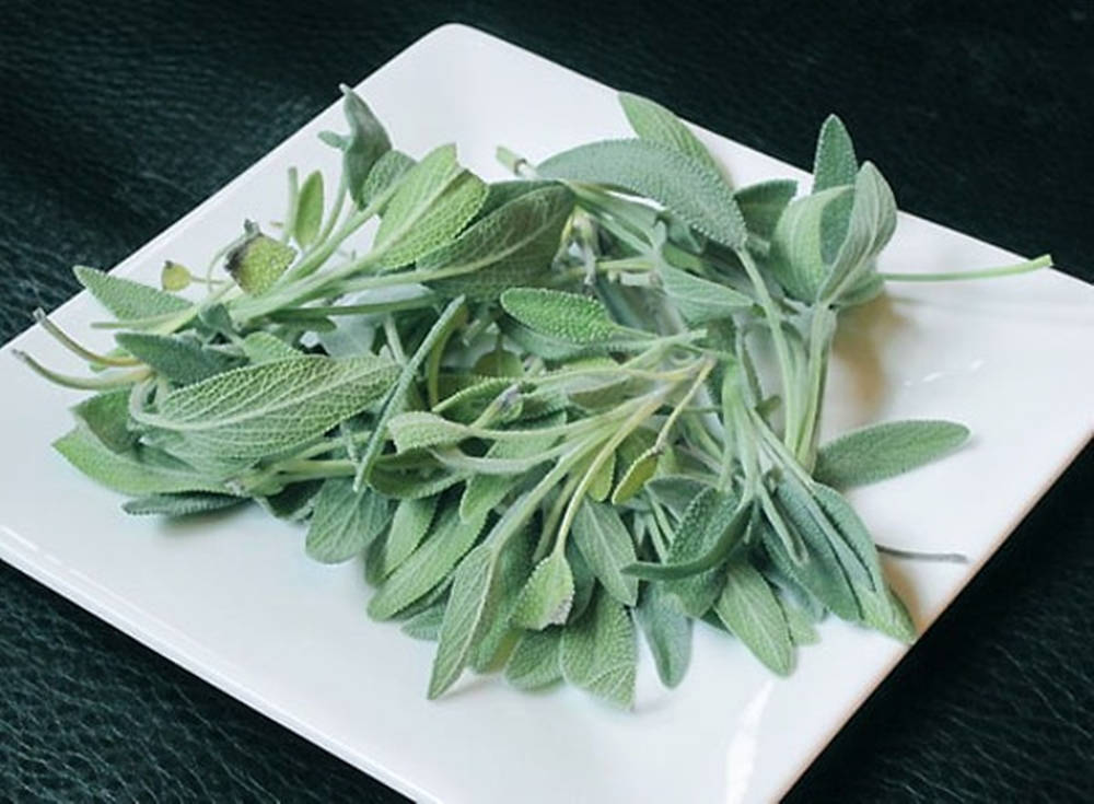 Green Leaves 桌布 壁紙 — 新鮮的鼠尾草葉帶有絨毛質感，放在一個白色方形盤子上，背景是深色有紋理的背景。