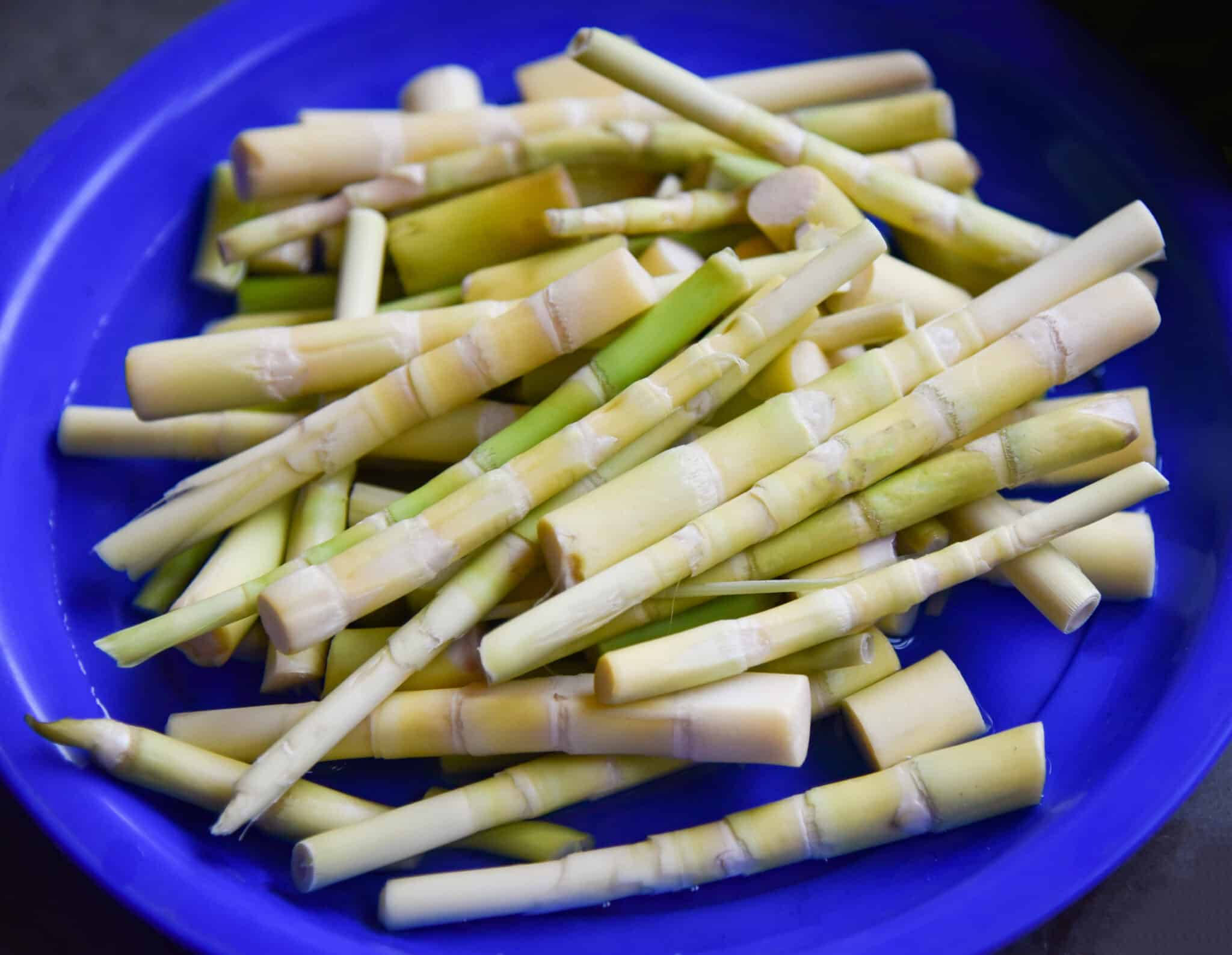 Healthy Food 桌布 壁紙 — 新鮮竹筍堆疊在鮮豔的藍色盤子上，自然光凸顯其淡綠色和奶油白色的部分。