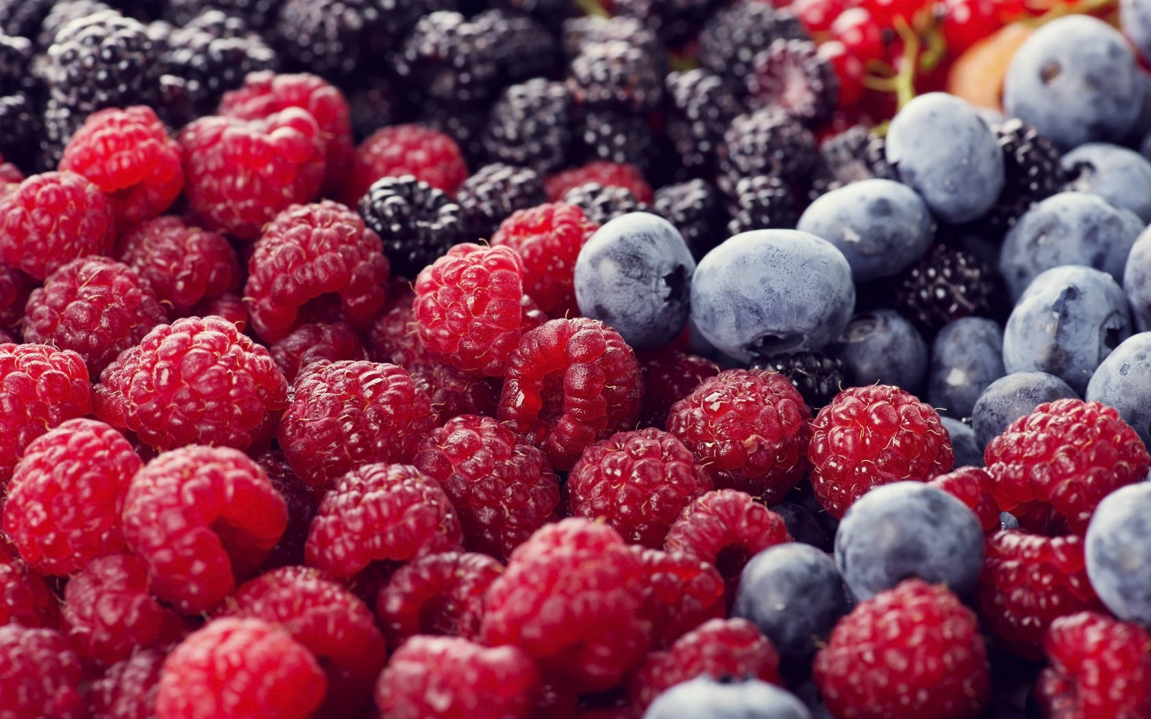Berry 桌布 壁紙 — 新鮮紅桑子、黑莓和藍莓的特寫，閃爍著露珠，色彩鮮豔。
