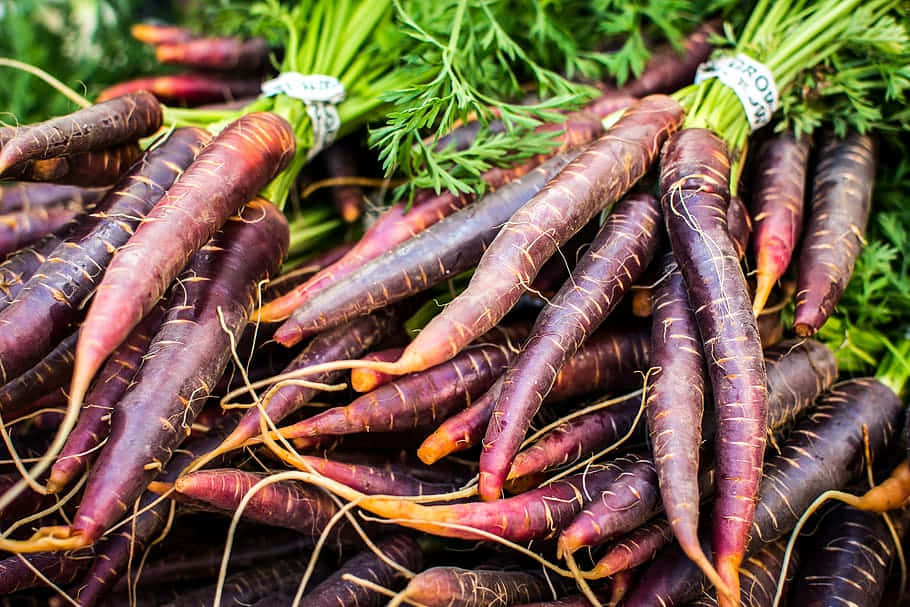 Purple Carrots 桌布 壁紙 — 新鮮紫色胡蘿蔔的鮮豔特寫，帶有綠色頂部和可見的根部堆疊在一起。