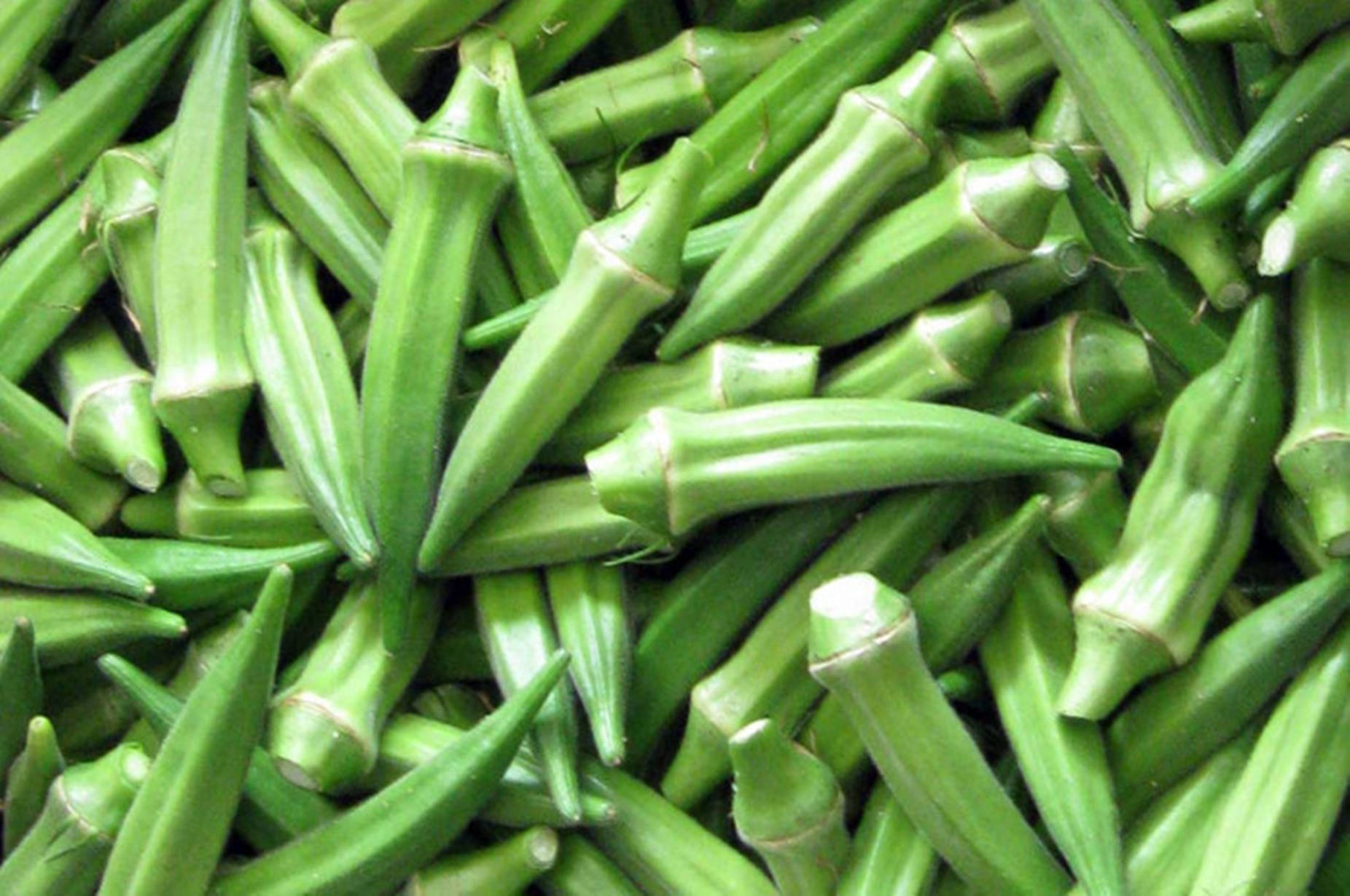 Vegetables 桌布 壁紙 — 新鮮綠色秋葵莢堆疊在一起的近距離特寫，顯示其棱紋質地和尖頭。