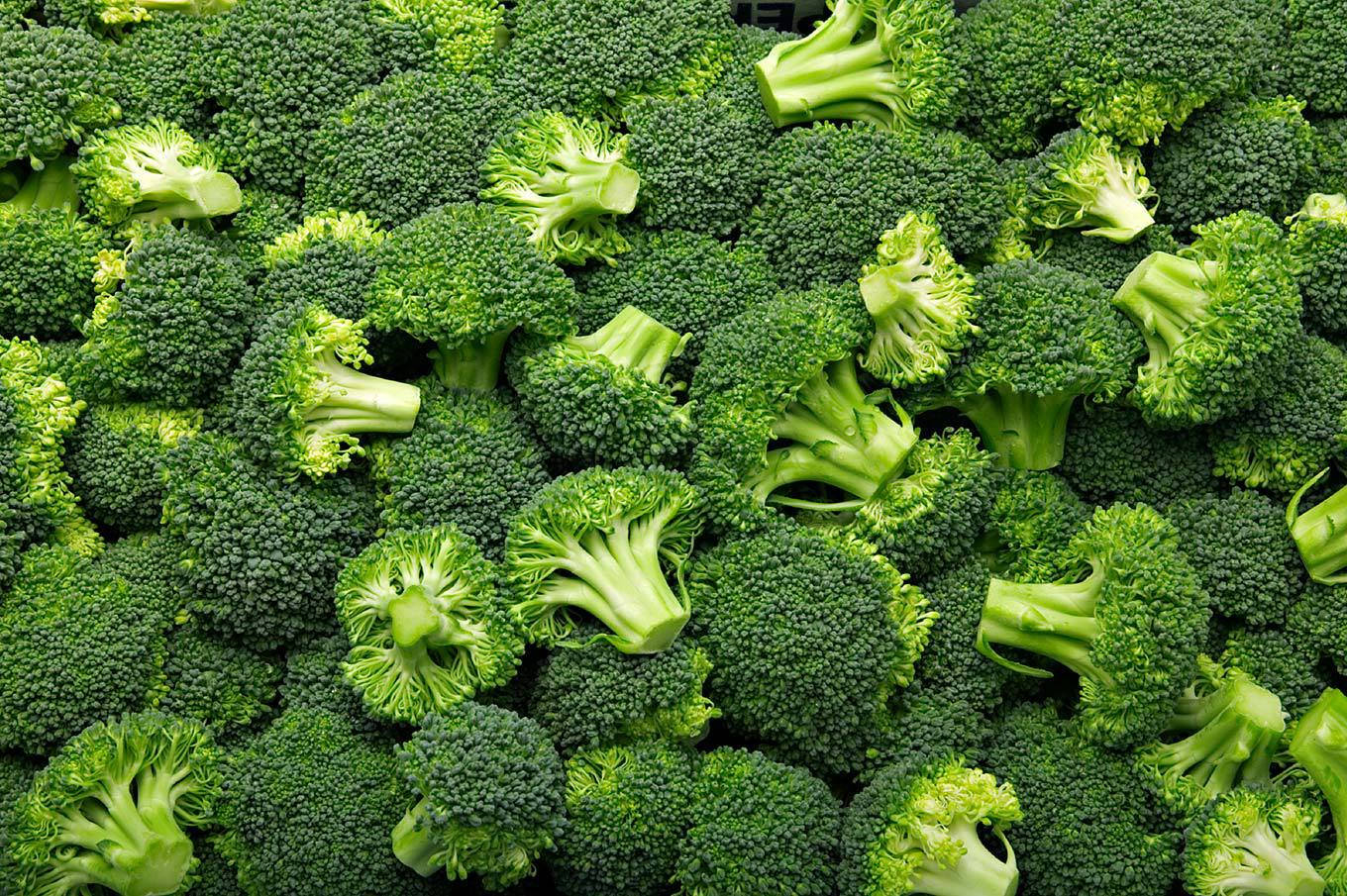 Broccoli 桌布 壁紙 — 新鮮綠色花椰菜冠的密集特寫，帶有充滿活力的花蕾和淺色莖部。