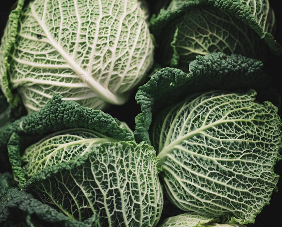 Vegetables 桌布 壁紙 — 新鮮綠色高麗菜葉的特寫，在深色背景下顯露出複雜的白色葉脈圖案。