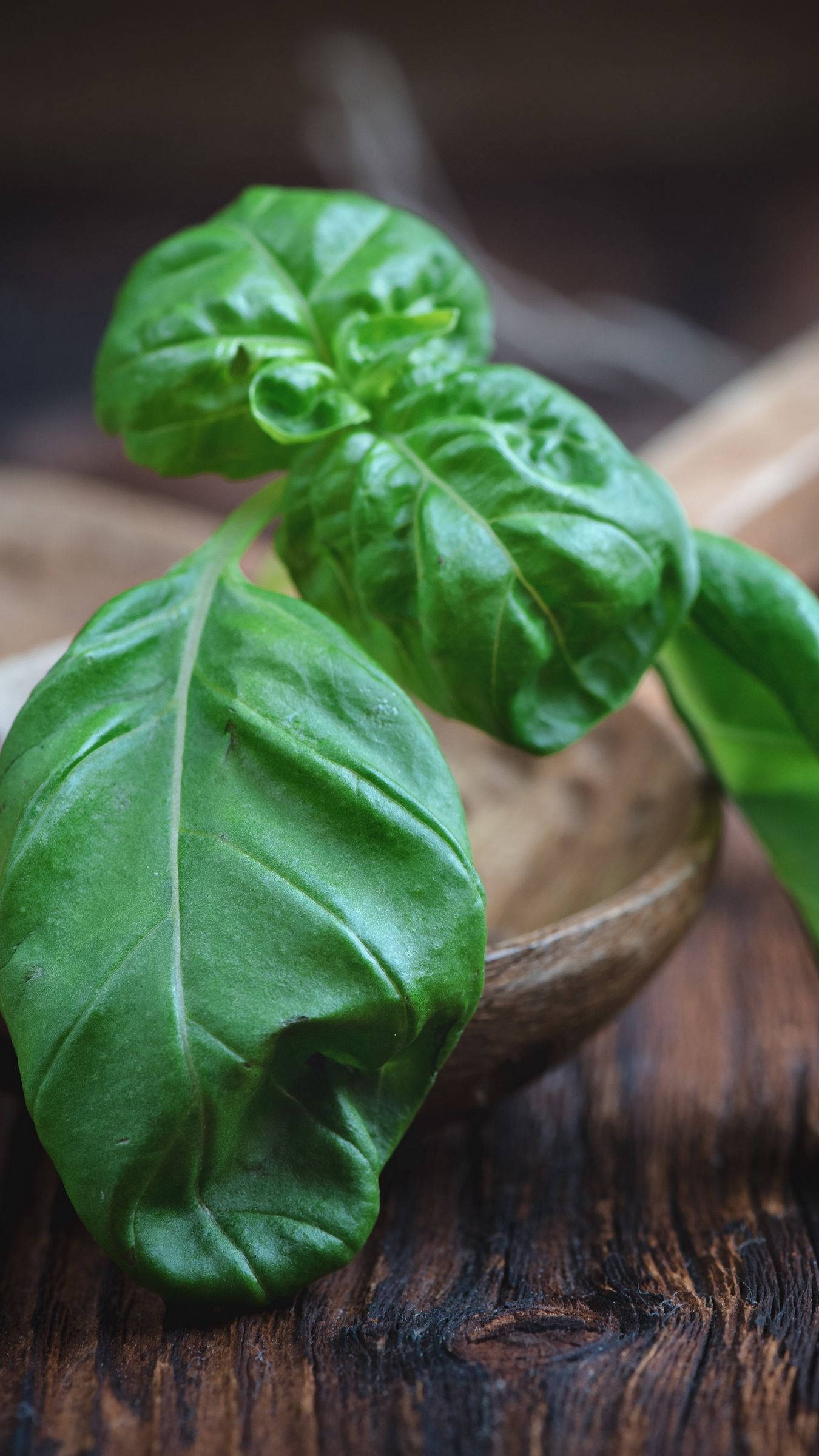 Basil 桌布 壁紙 — 新鮮羅勒葉帶有鮮豔的綠色色調，放在一個木碗中，置於質樸的深色木質表面上。