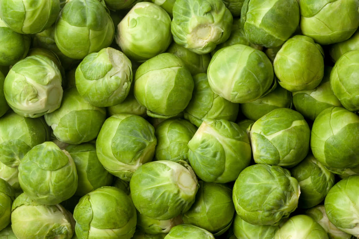 Brussel Sprout 桌布 壁紙 — 新鮮翠綠的抱子甘藍緊密堆疊的特寫，展現其紋理分明的葉層。