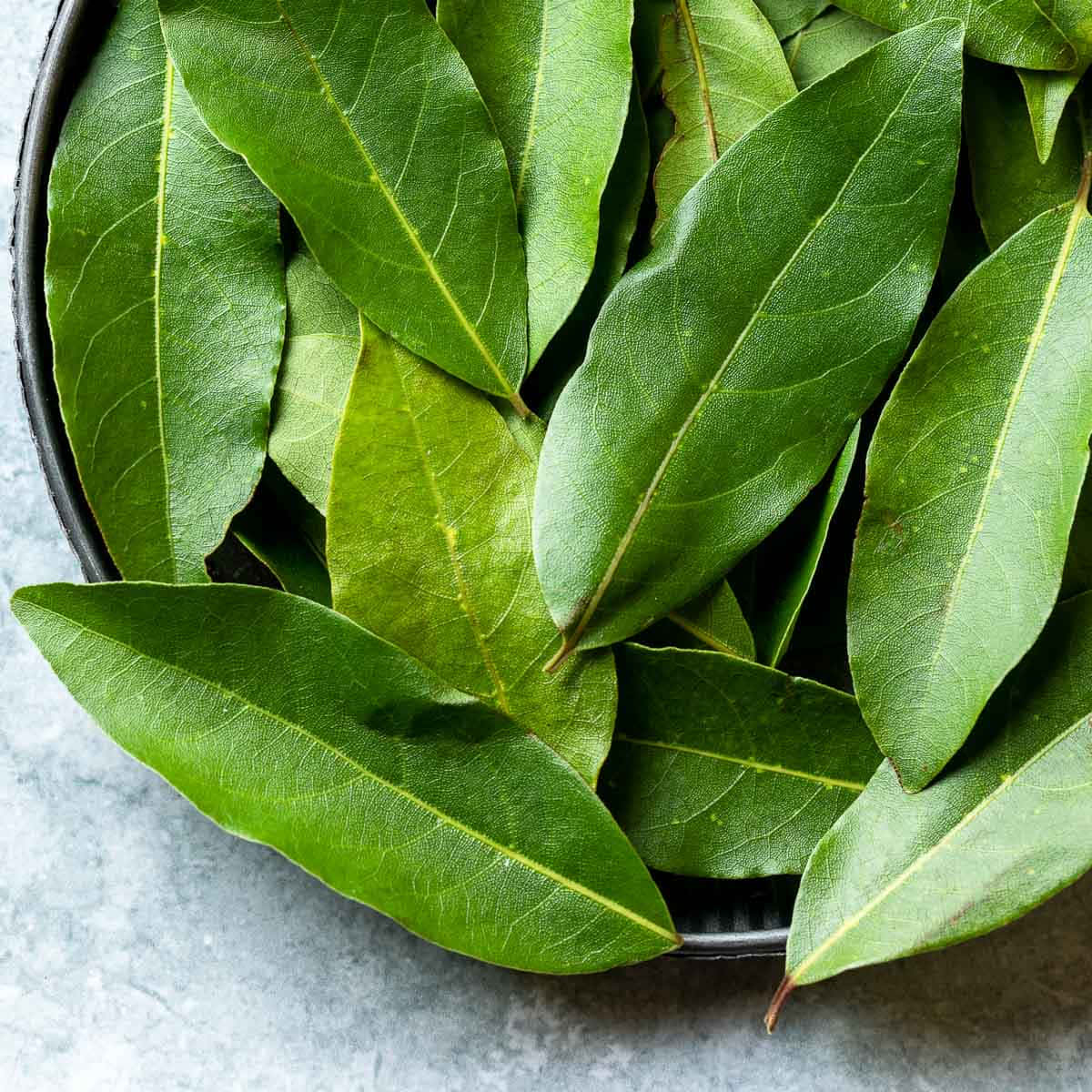 葉子 桌布 壁紙 — 新鮮翠綠的月桂葉堆放在黑色碗中，置於清涼灰色紋理表面上。