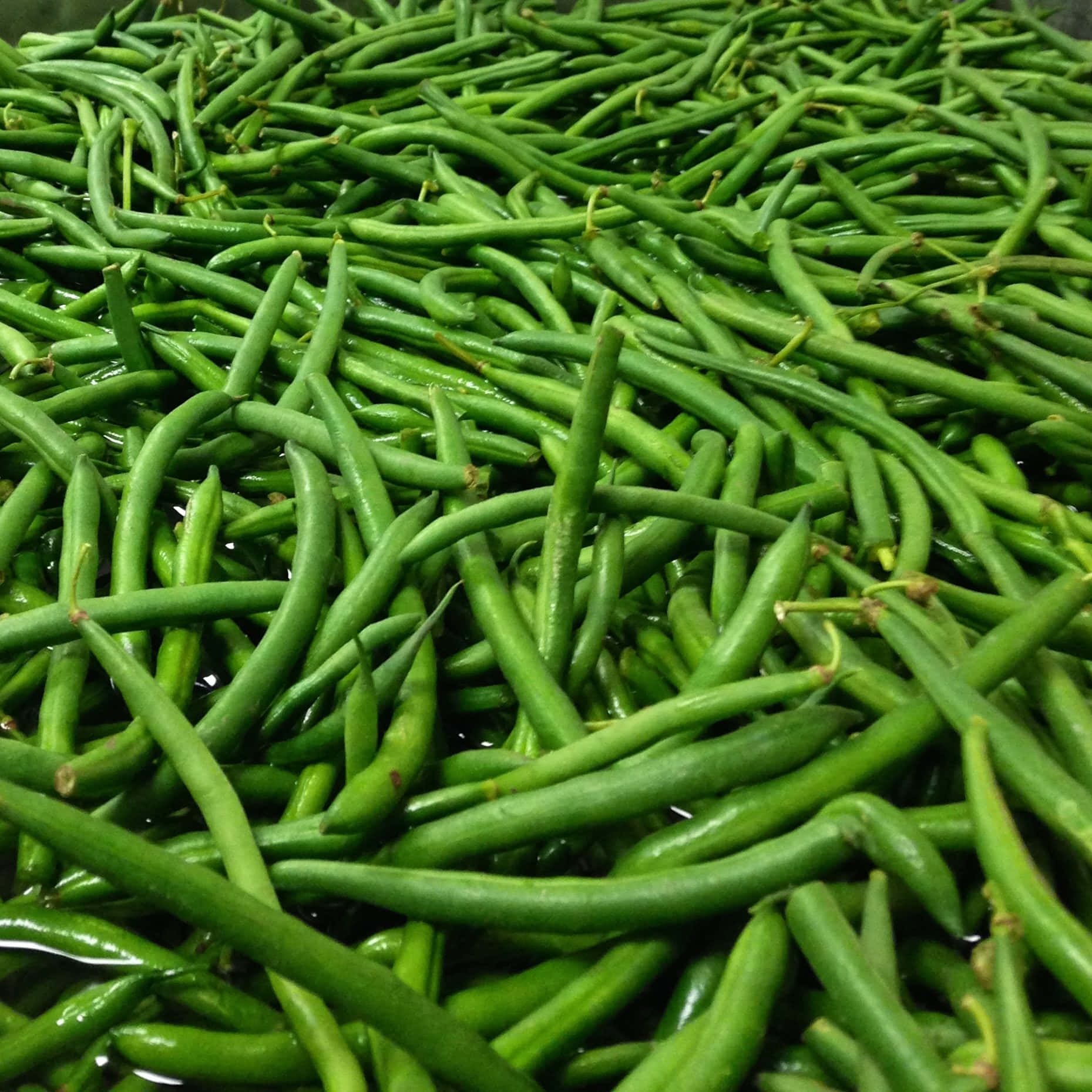 beans 桌布 壁紙 — 新鮮翠綠的豆子緊密堆疊，表面水珠閃爍的特寫。
