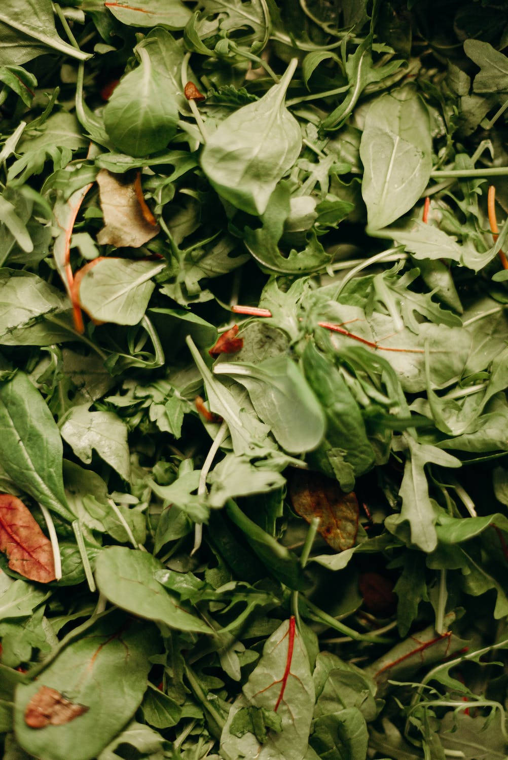 Healthy Food 桌布 壁紙 — 新鮮芝麻菜葉的特寫，帶有鮮豔的綠色色調和散落的紅色莖。