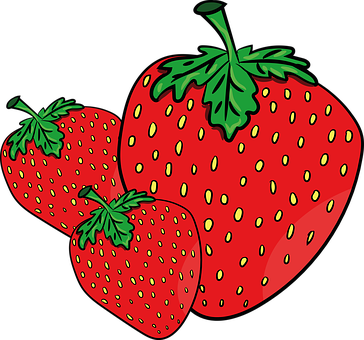 新鮮草莓插畫 壁紙