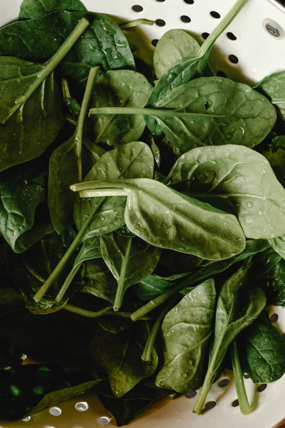 Healthy Food 桌布 壁紙 — 新鮮菠菜葉在白色濾鍋中，在柔和自然光下閃爍著水滴。