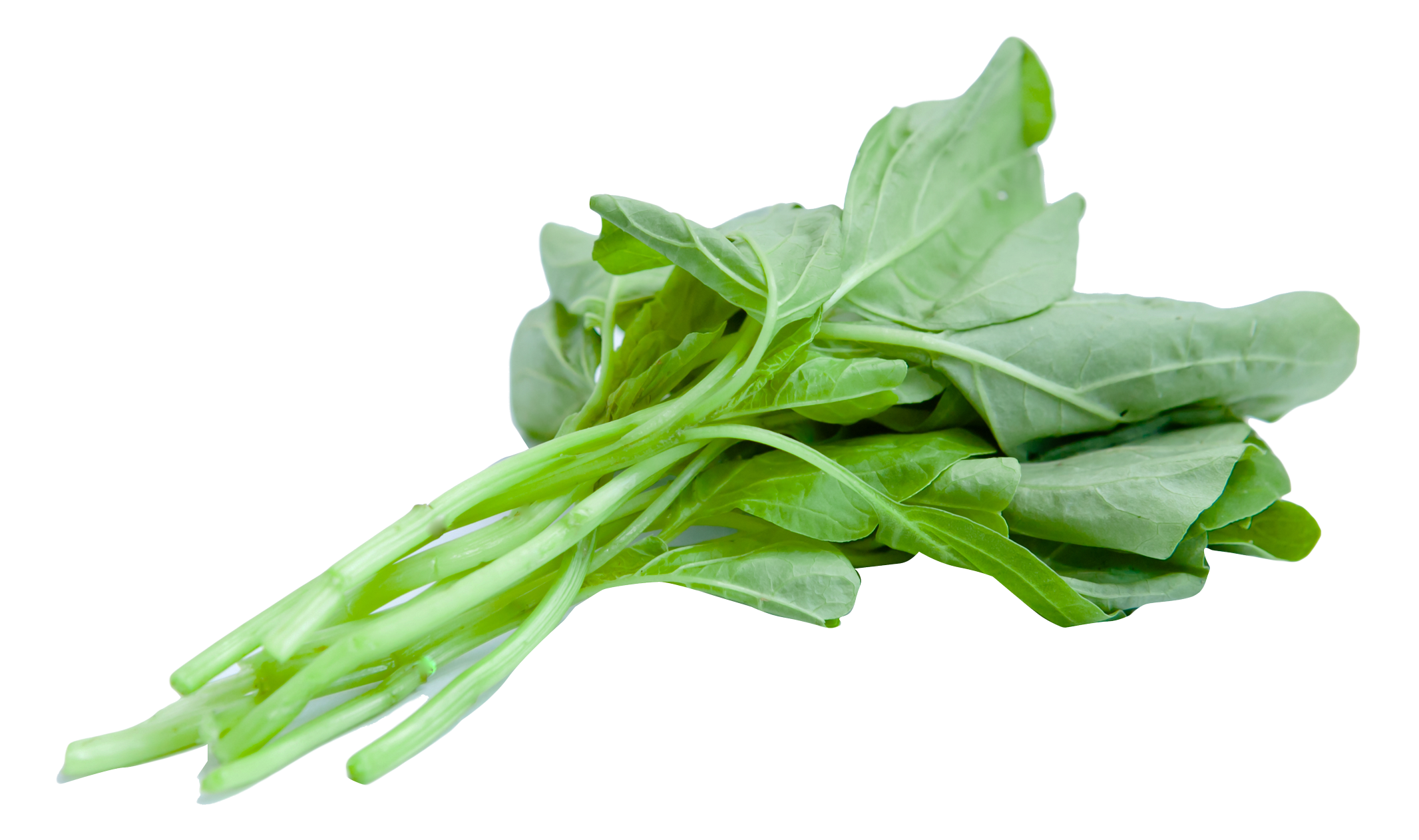 新鮮菠菜葉特寫 壁紙