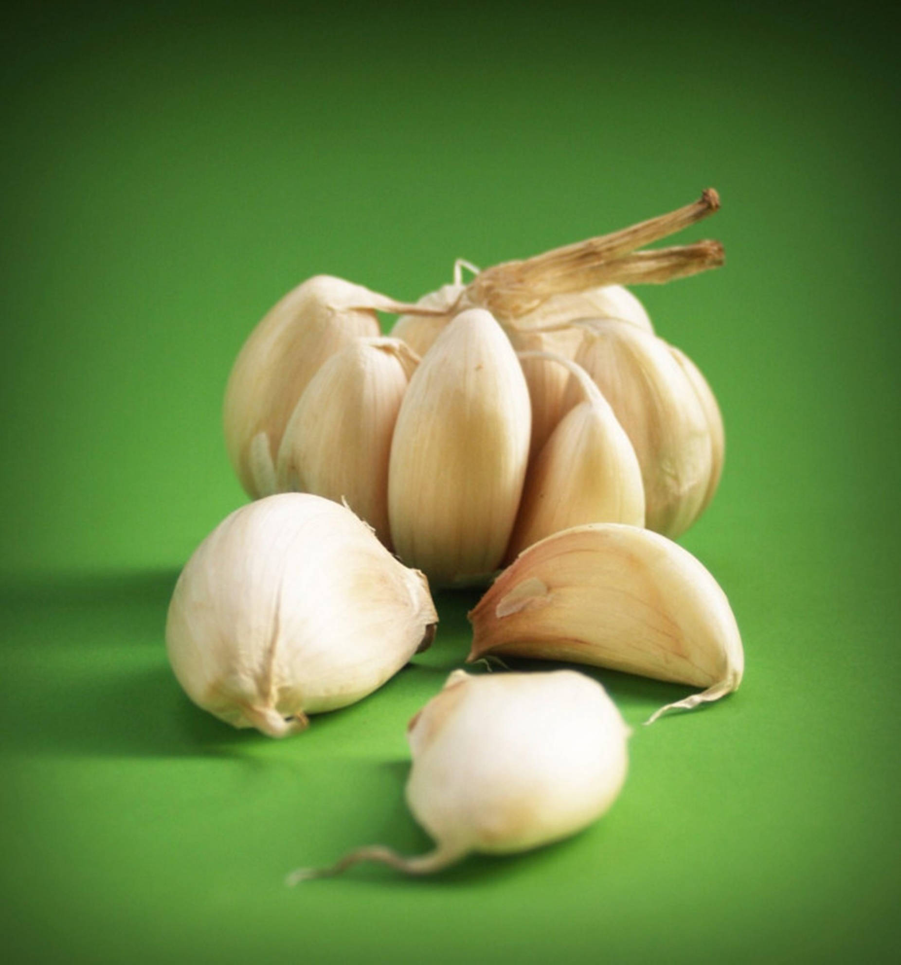 Garlic 桌布 壁紙 — 新鮮蒜頭和蒜瓣排列在充滿活力的綠色背景上，光線柔和。