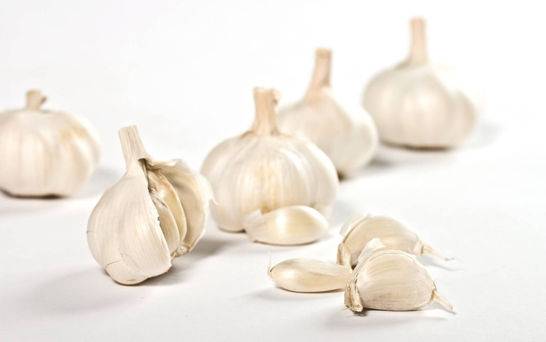 Garlic 桌布 壁紙 — 新鮮蒜頭和蒜瓣排列在明亮的白色表面上，帶有柔和陰影。
