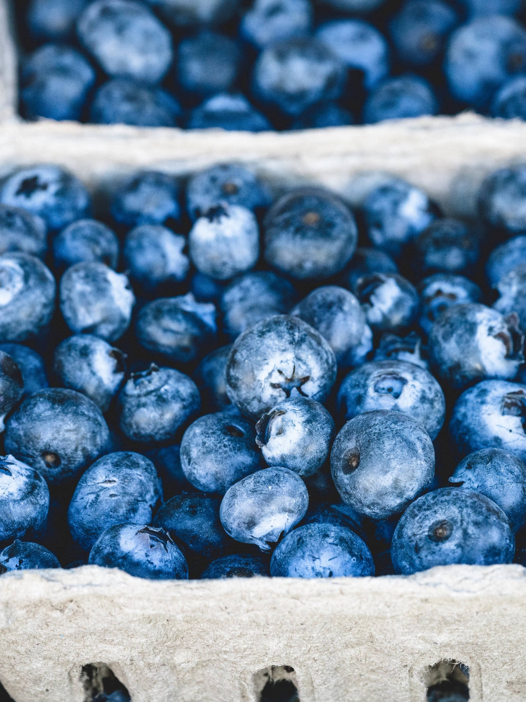 Blueberries 桌布 壁紙 — 新鮮藍莓在紙板容器中的特寫，背景柔和模糊。