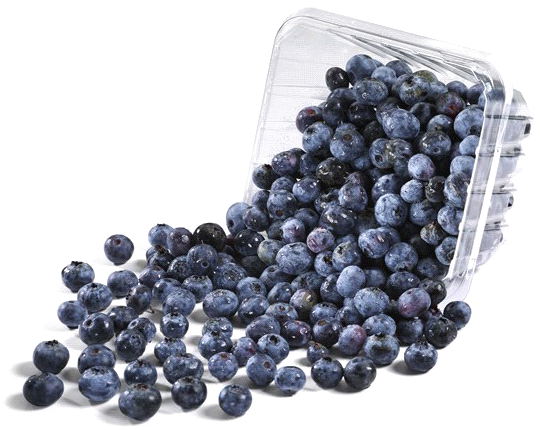 Blueberry 桌布 壁紙 — 新鮮藍莓從透明塑膠容器中灑出，背景為純白色。
