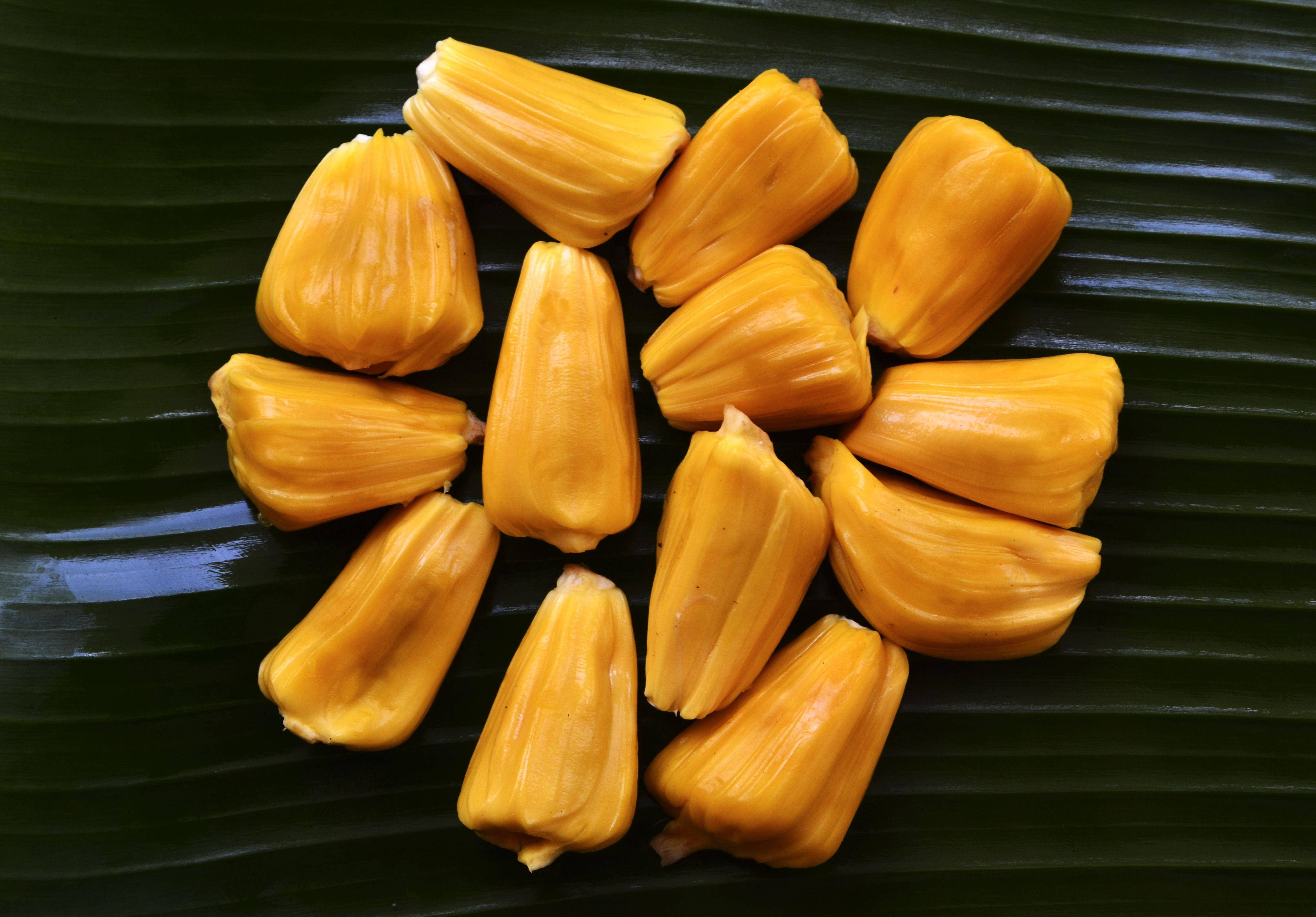 Fruit 桌布 壁紙 — 新鮮金黃色波羅蜜塊在光澤的綠色香蕉葉上排列成圓形。