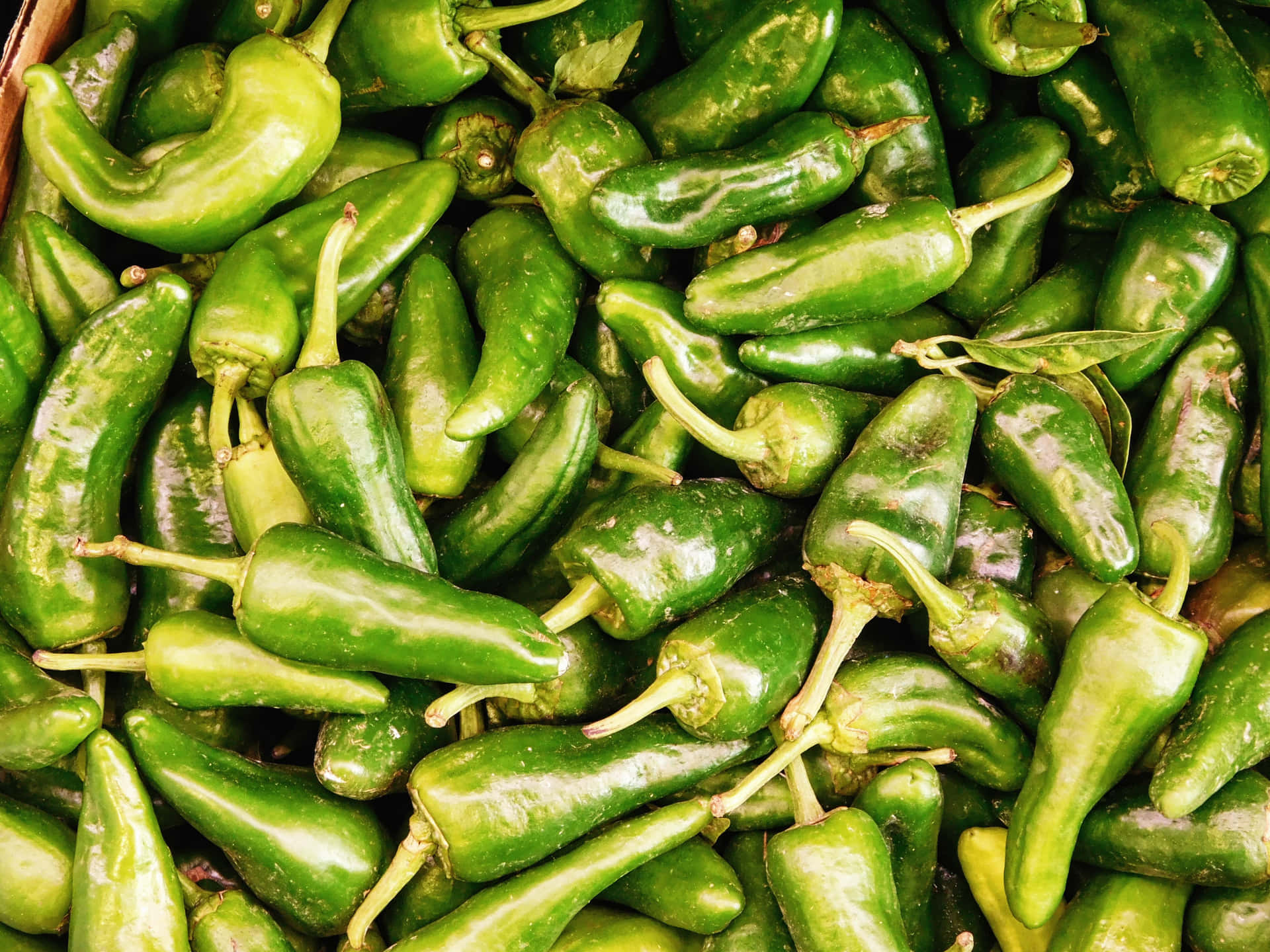 Peppers texture 壁紙 — 新鮮青哈拉皮紐辣椒堆疊在一起的近距離特寫，展現其光澤的皮和莖。