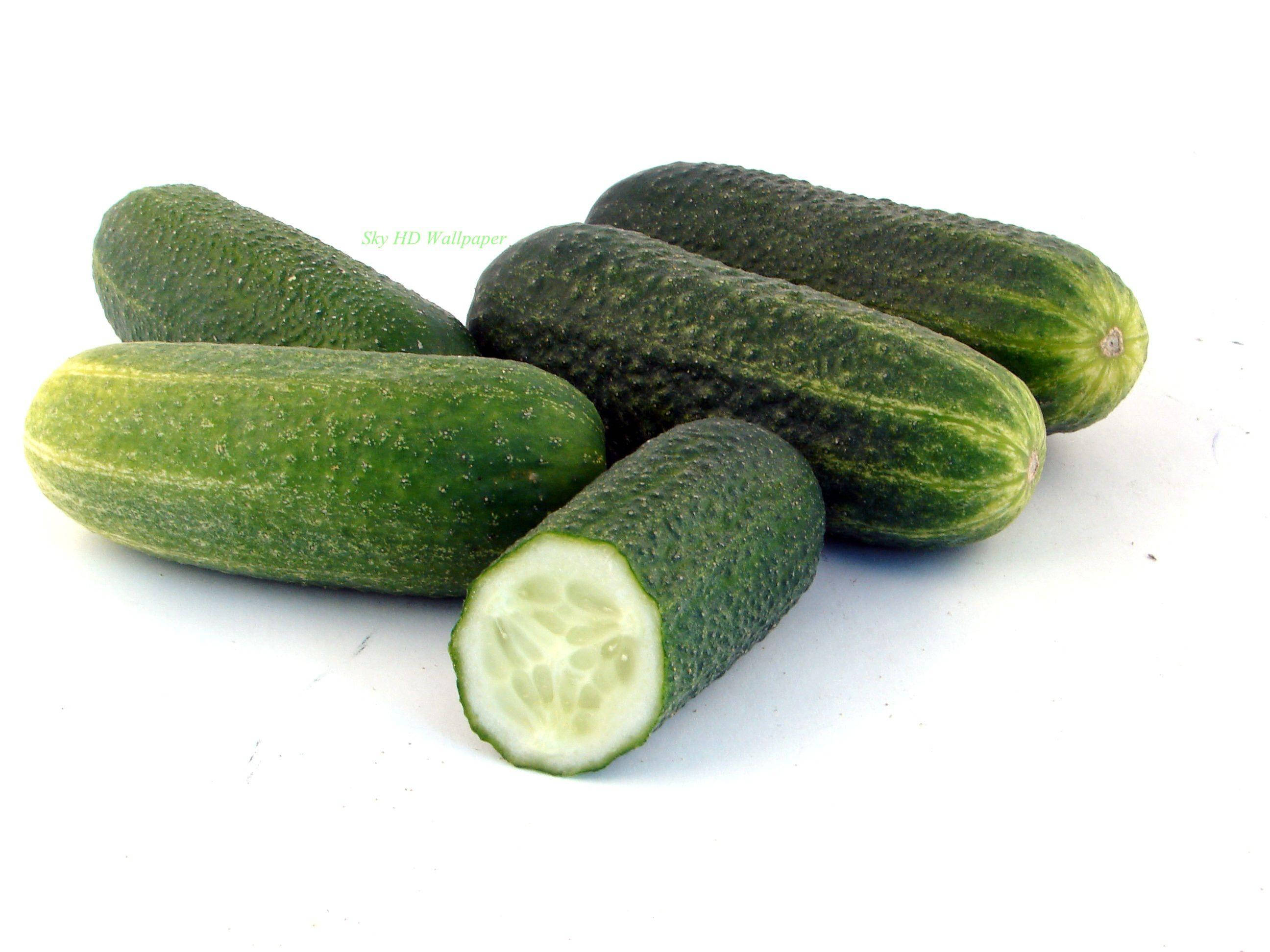 sliced 桌布 壁紙 — 新鮮青瓜，表皮凹凸不平，其中一條切片，露出脆嫩淡色內部，襯以純白背景。