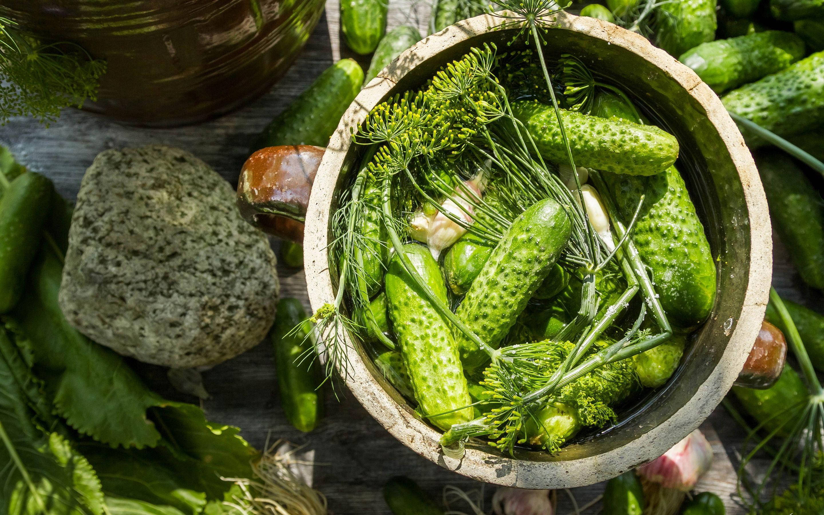 醃黃瓜 桌布 壁紙 — 新鮮青瓜和蒔蘿在一個質樸的木碗中浸泡，置於風化的木質表面上。